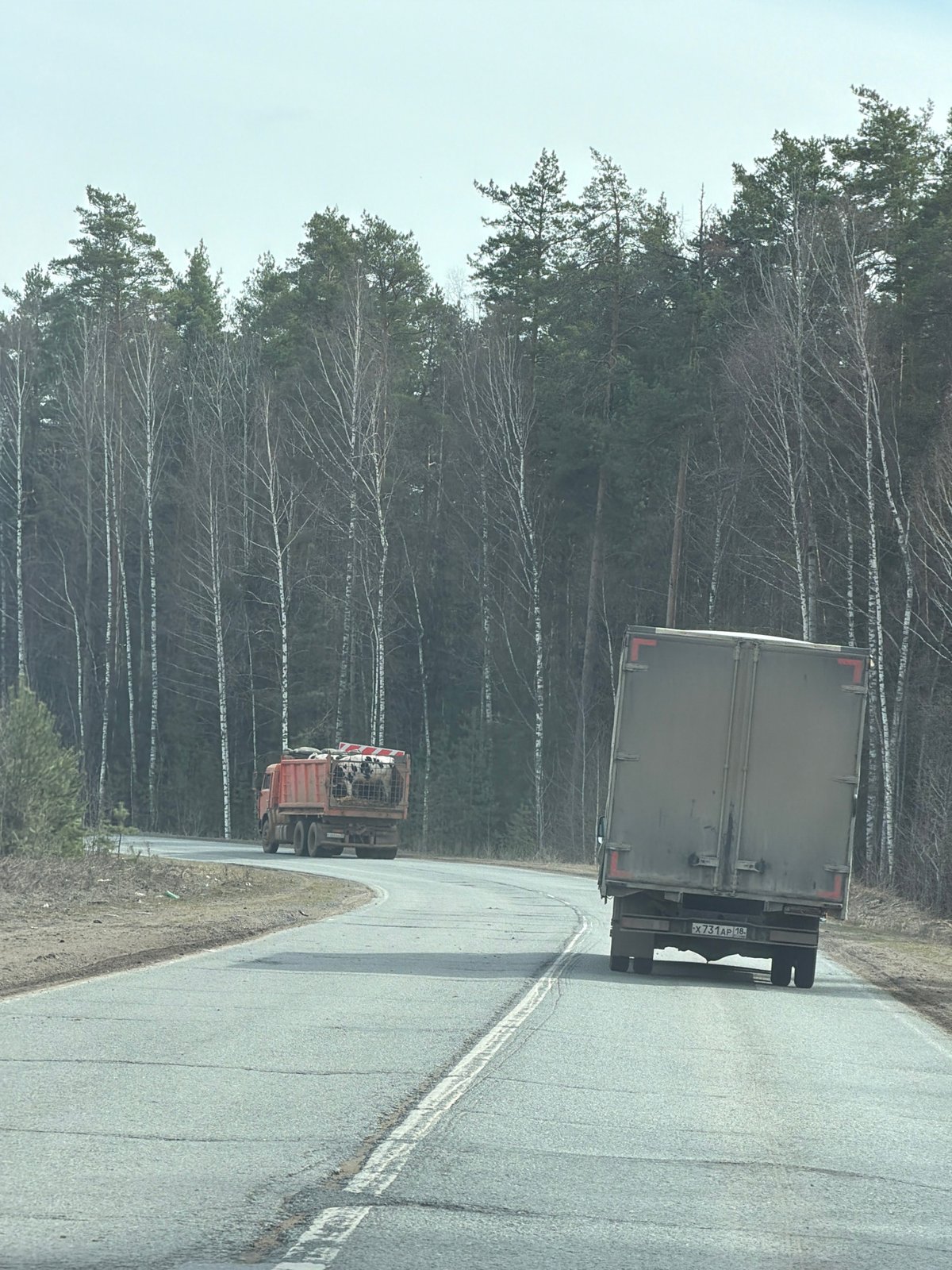 Truck observed on road in Novyi, Russia
