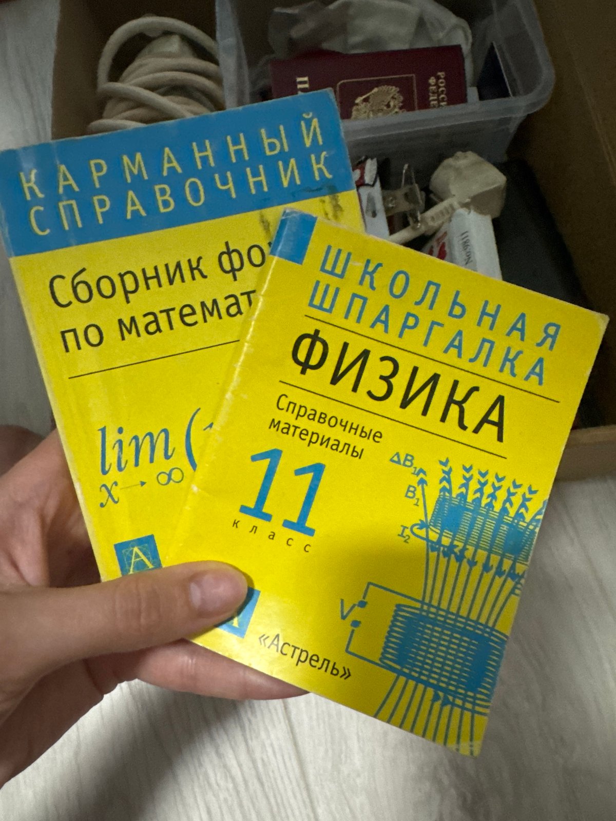 Woman documents personal moments, collectibles in Izhevsk apartment