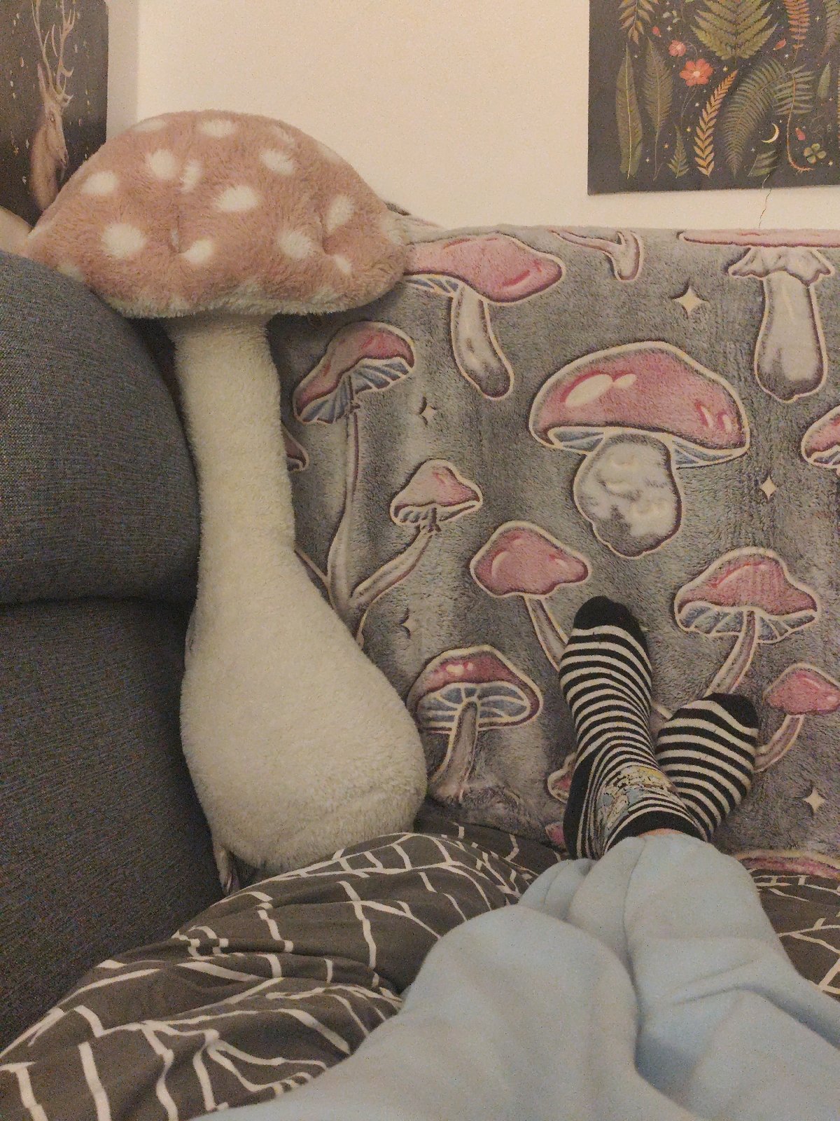Person relaxes with mushroom blanket and plushie in Montenegro