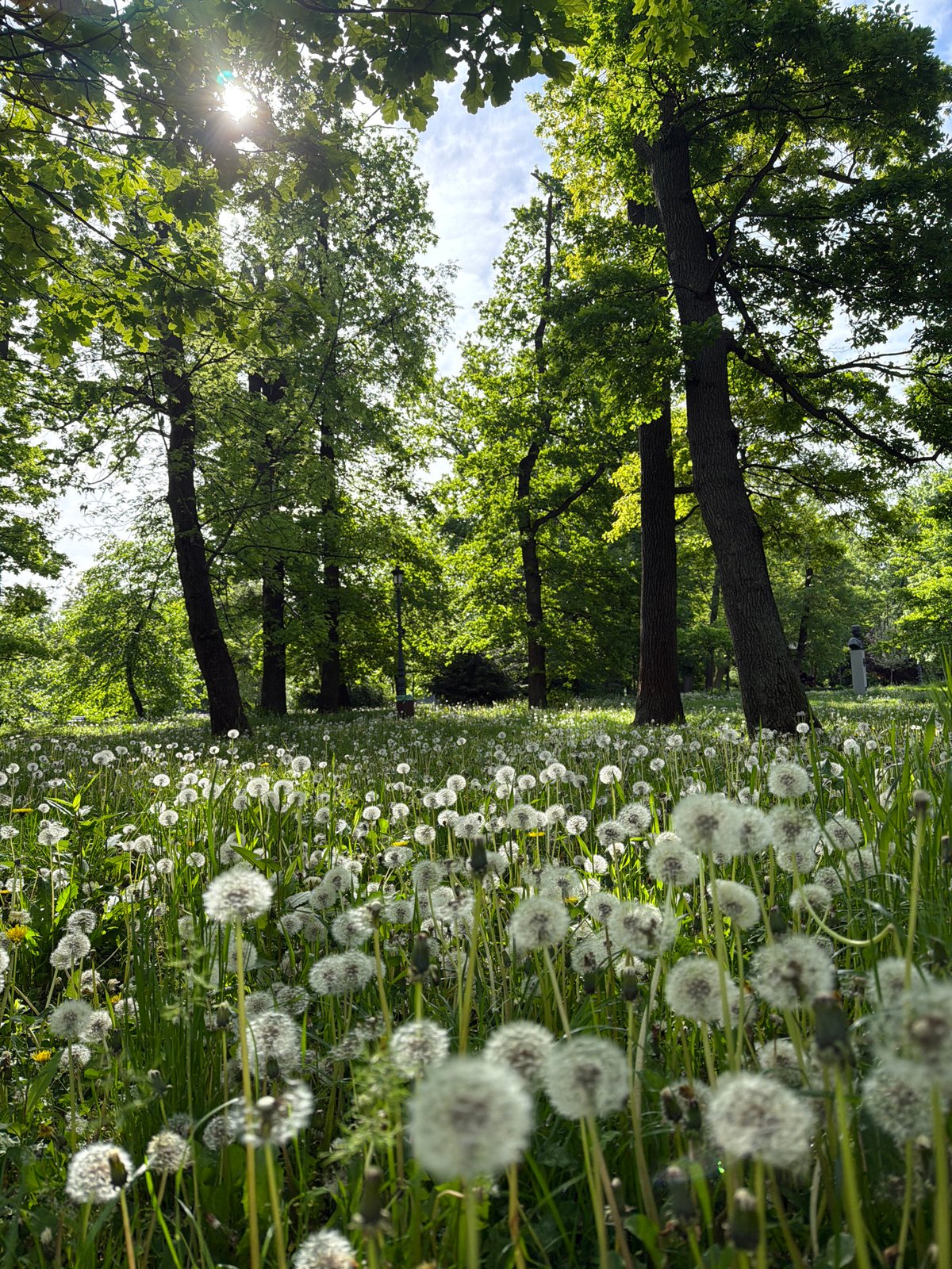 Morning park visit documented in Sofia, Bulgaria