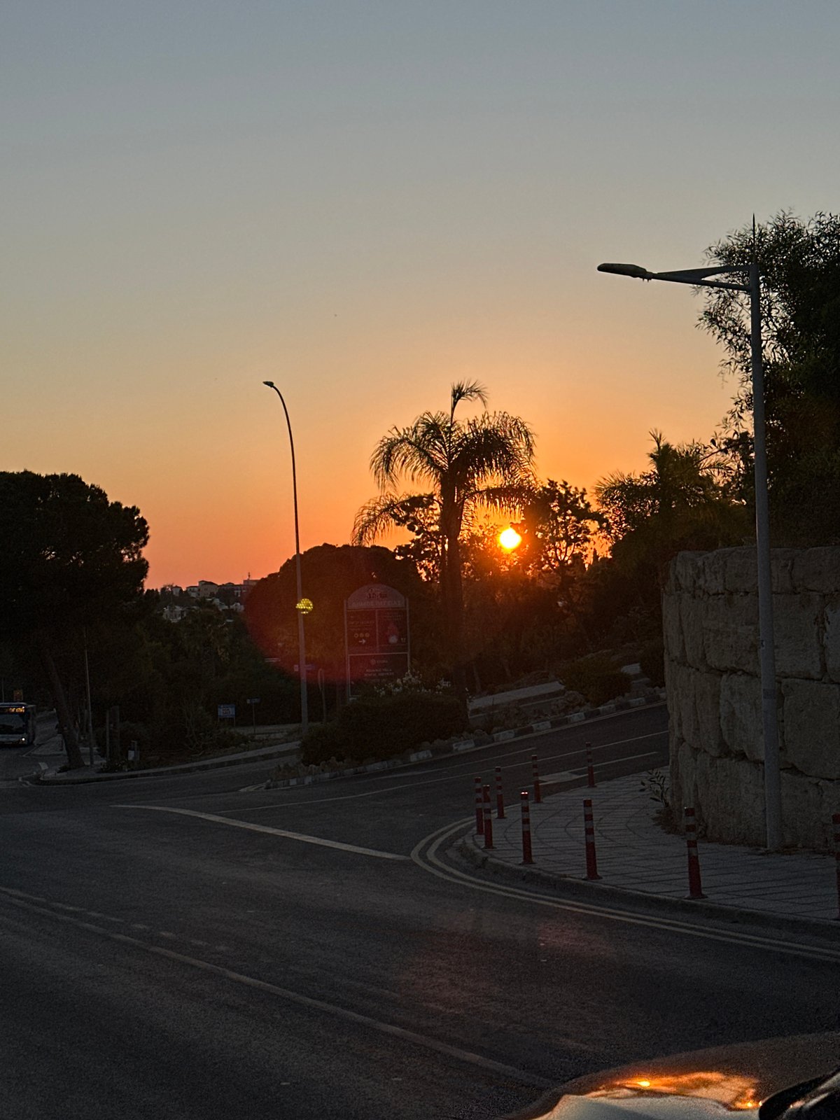 Sunset stroll through Peyia's palm-lined restaurant strip