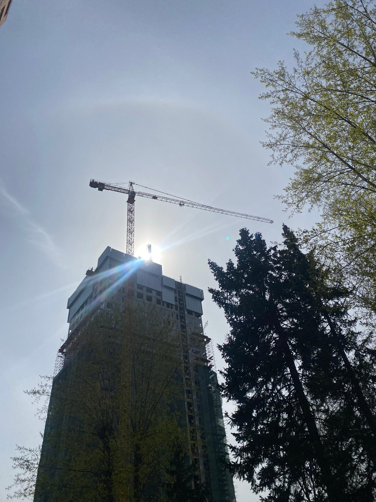 Morning scenes documented across Moscow markets and streets