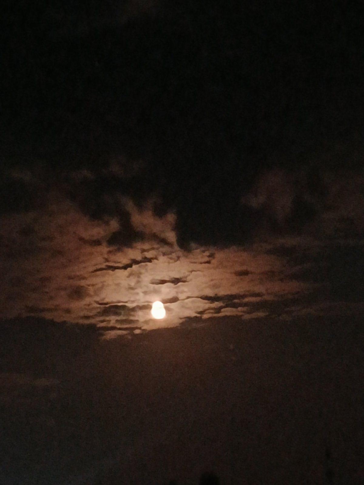 Odesa after dark: trains, moonlight, and city streets