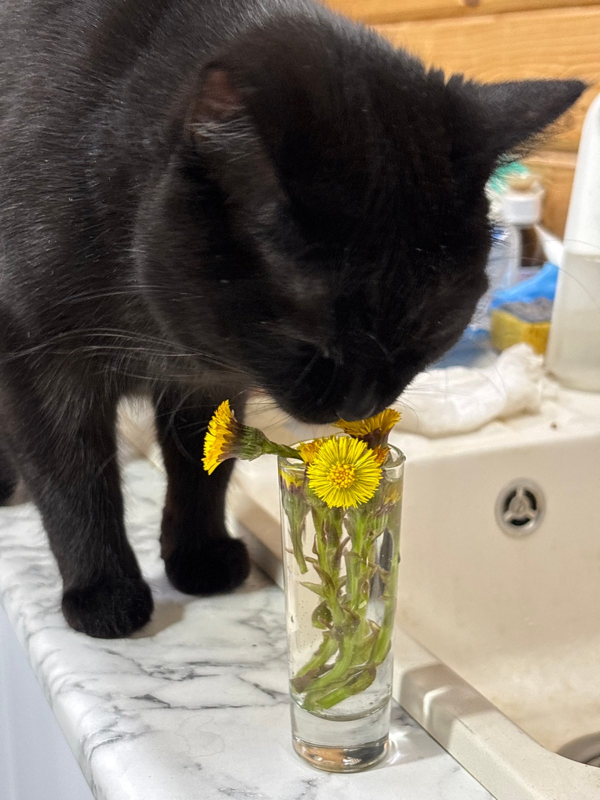 Spring afternoon documented in Chaikovsky residential neighborhood