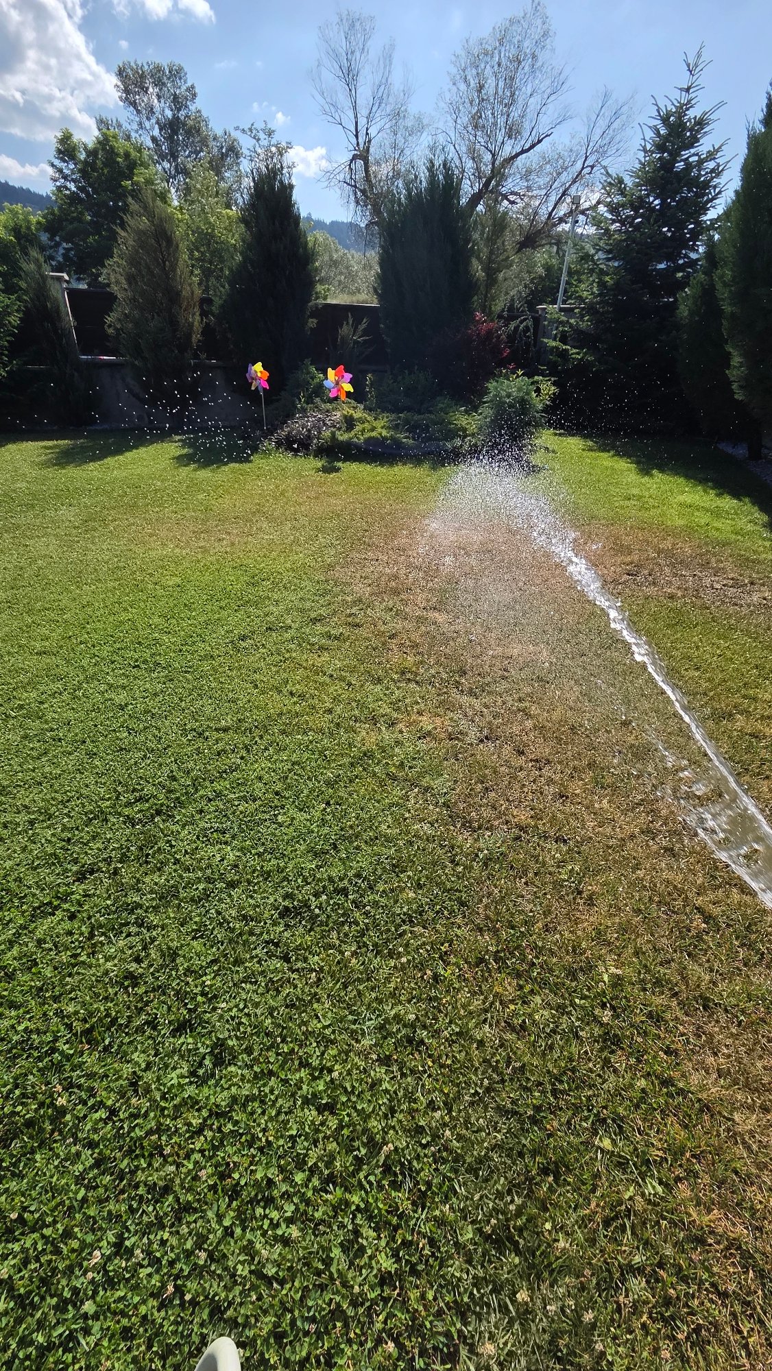 Quiet summer morning: garden watering and breakfast in Bania