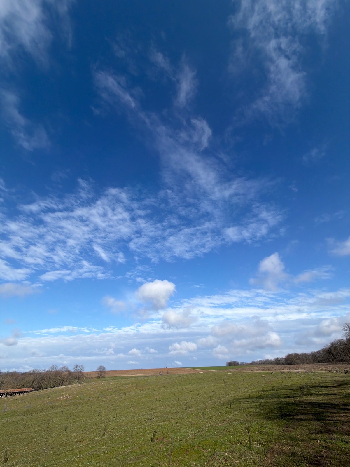 Rural landscape documented under partly cloudy skies in Priseltsi