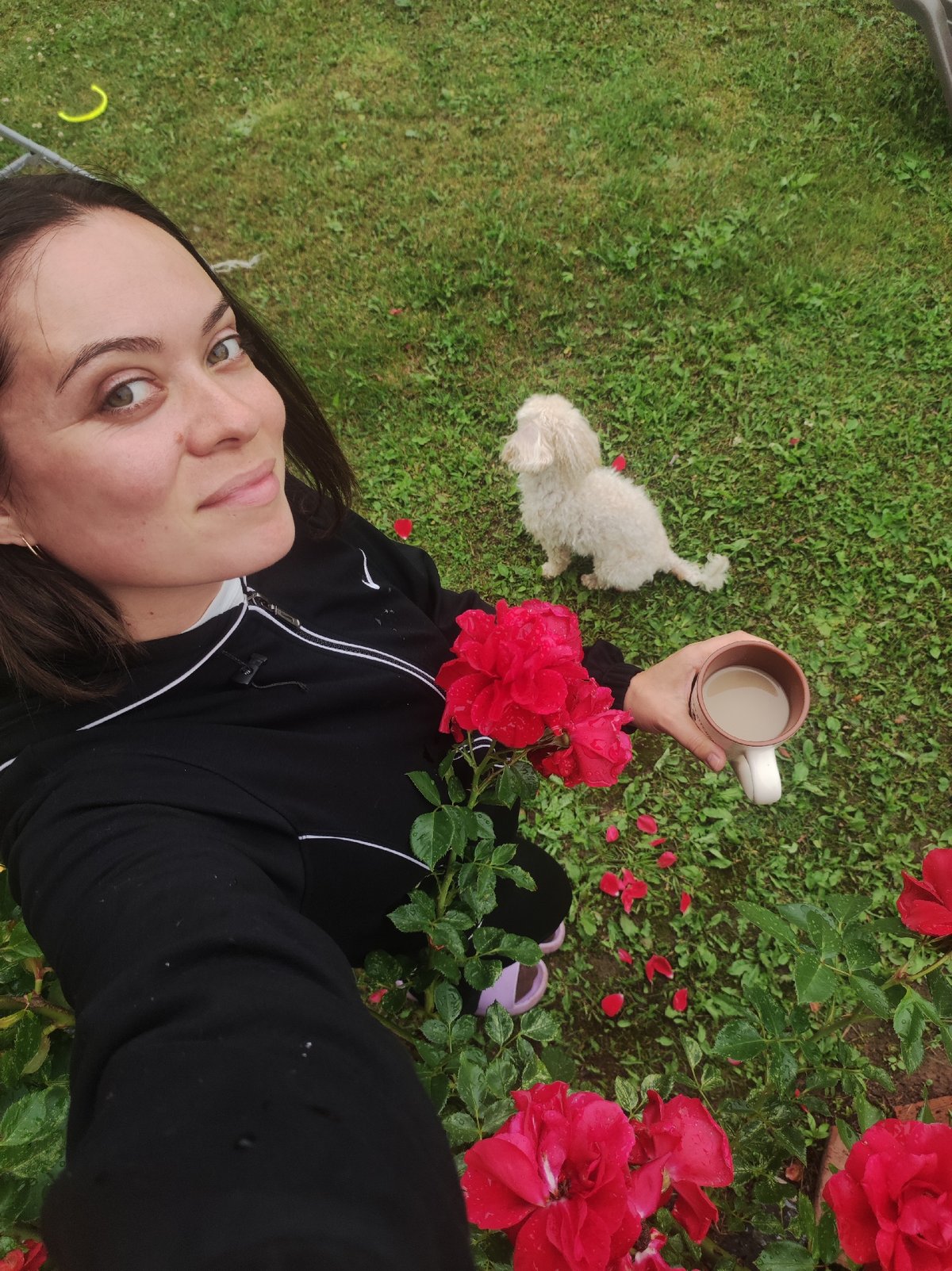 Coffee, roses, and a poodle on a summer morning in Russia