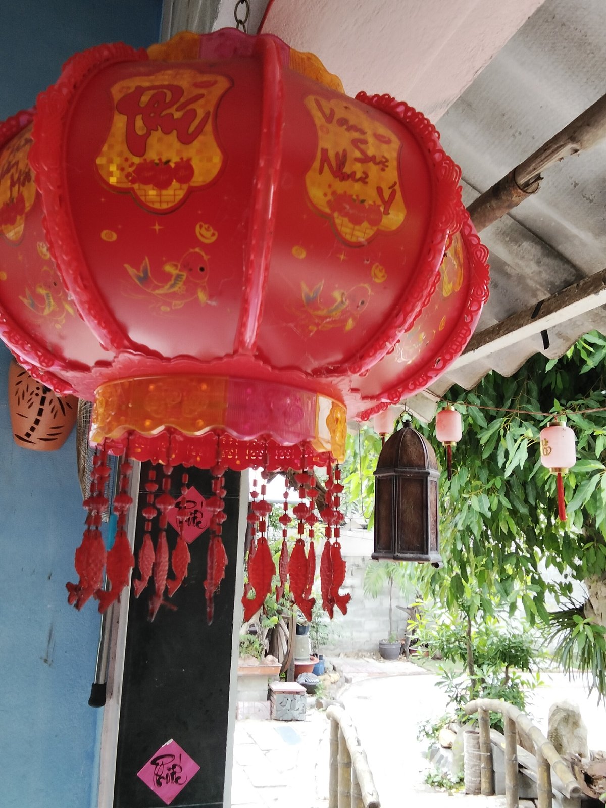 Lazy morning at a Vietnamese home: pets, plants, and food