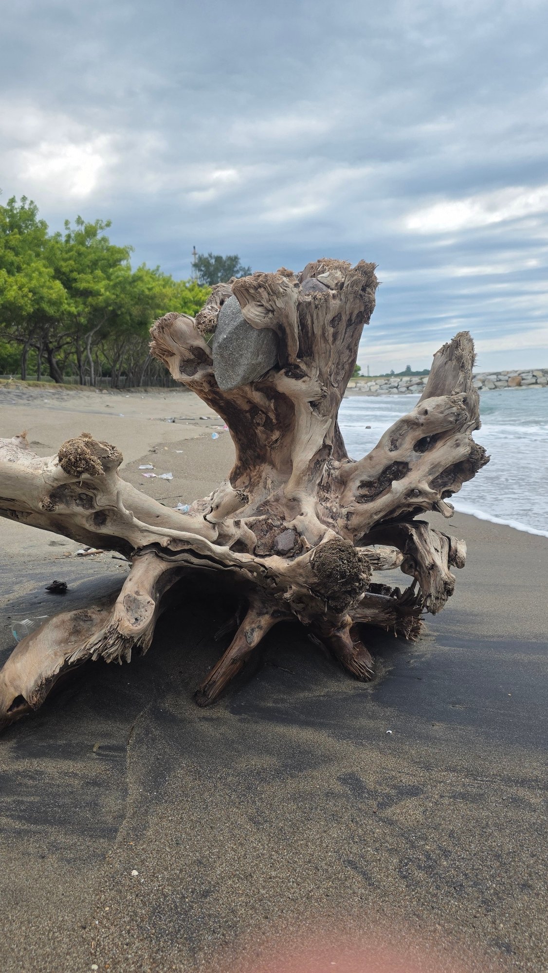 Beach documentation captures driftwood, debris, wildlife in Lhokseumawe