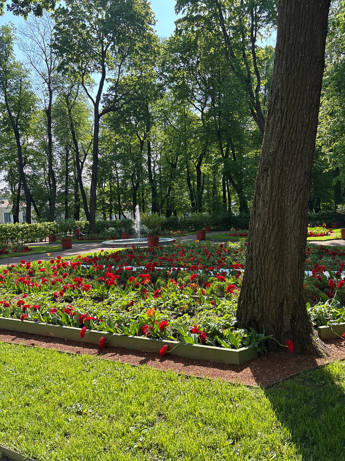 Morning park walk captures wedding, gardens in Saint Petersburg