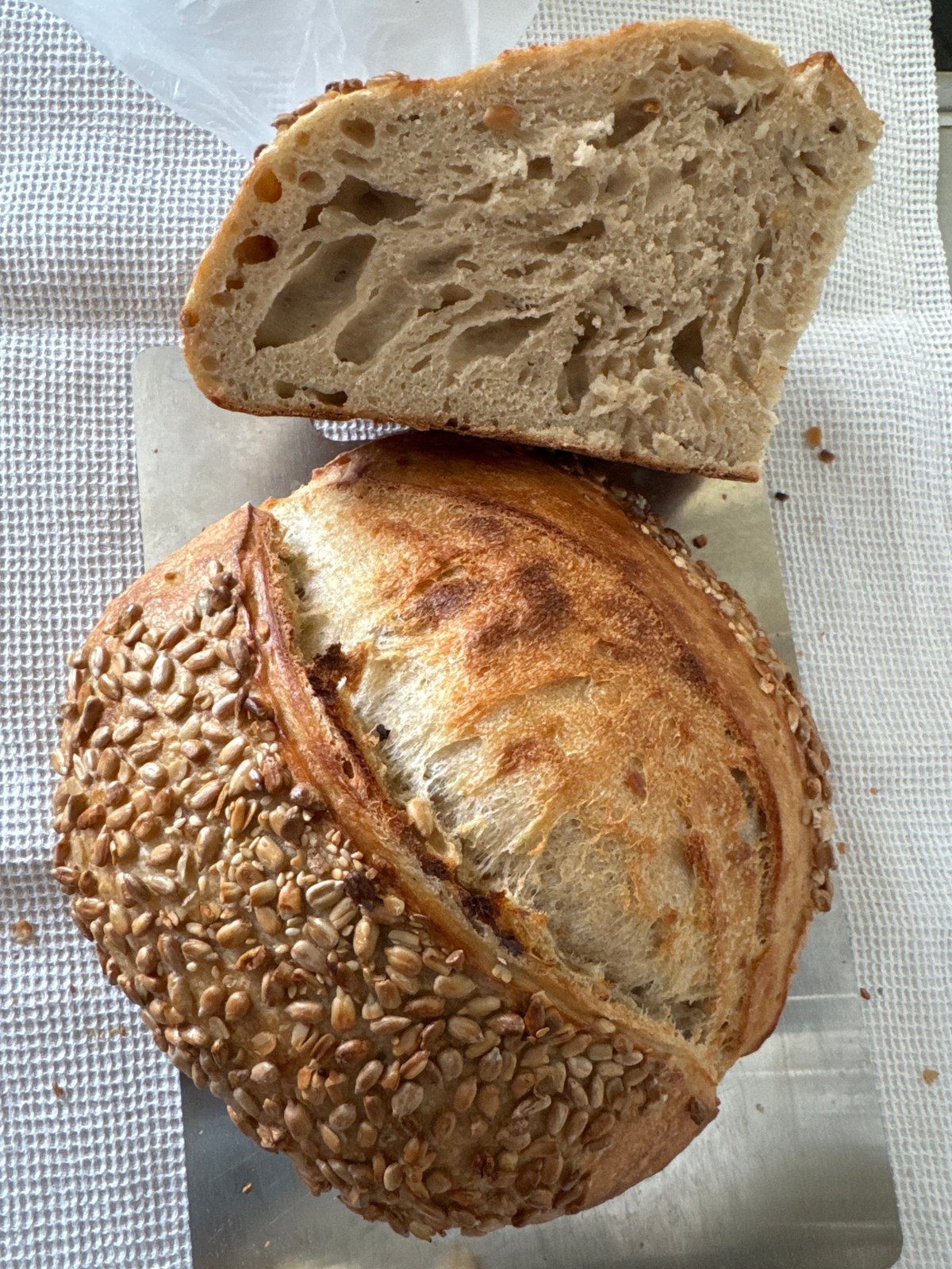 Fresh sourdough and seeded rolls documented in Russian bakery