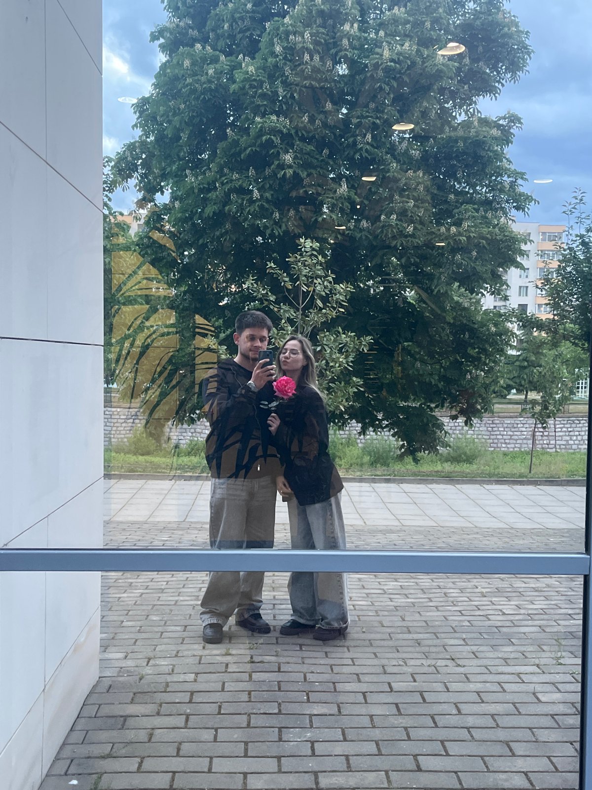 Pink roses spotted across Blagoevgrad in evening encounters