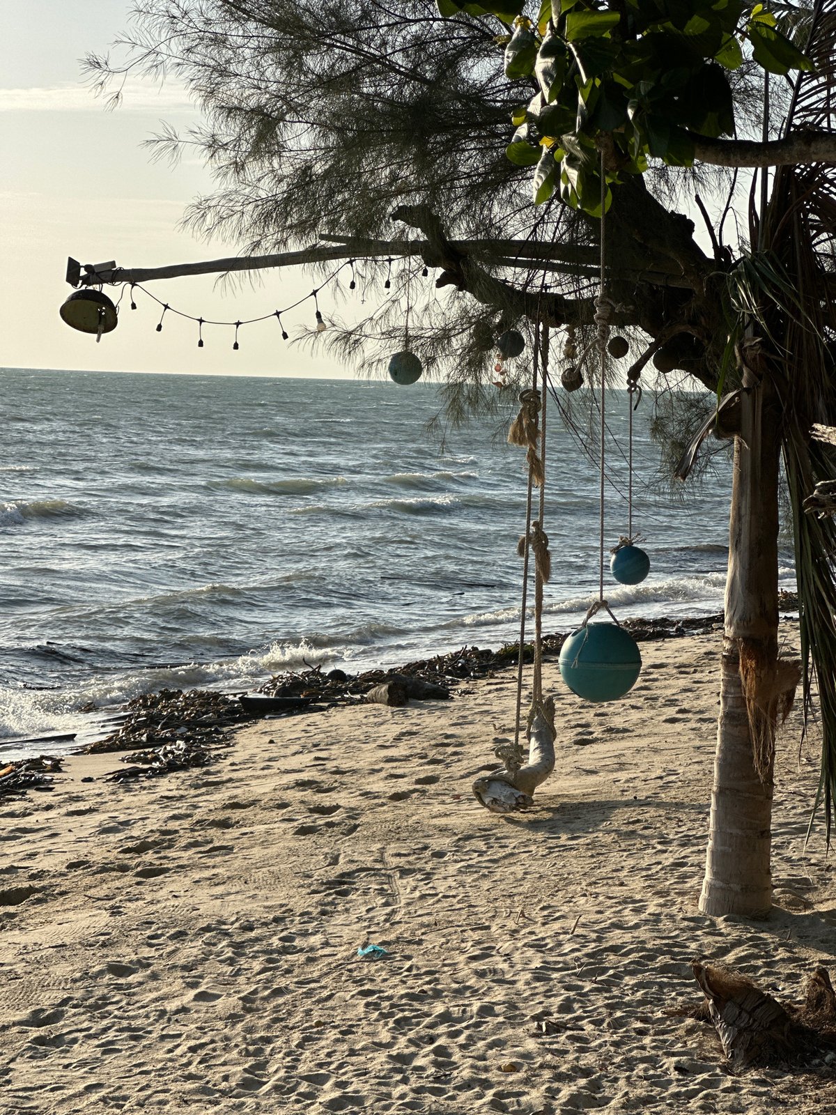 Quiet Ko Samui shoreline with palms, bamboo, and calm water
