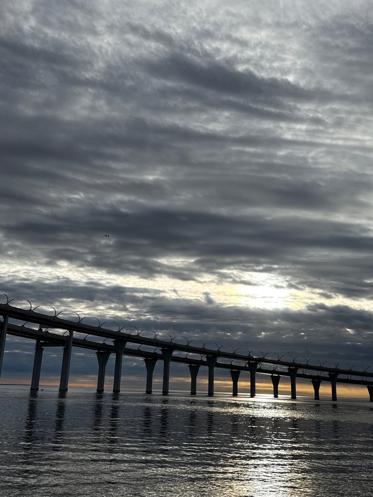 Sunset views of Saint Petersburg's WHSD bridge from the waterfront