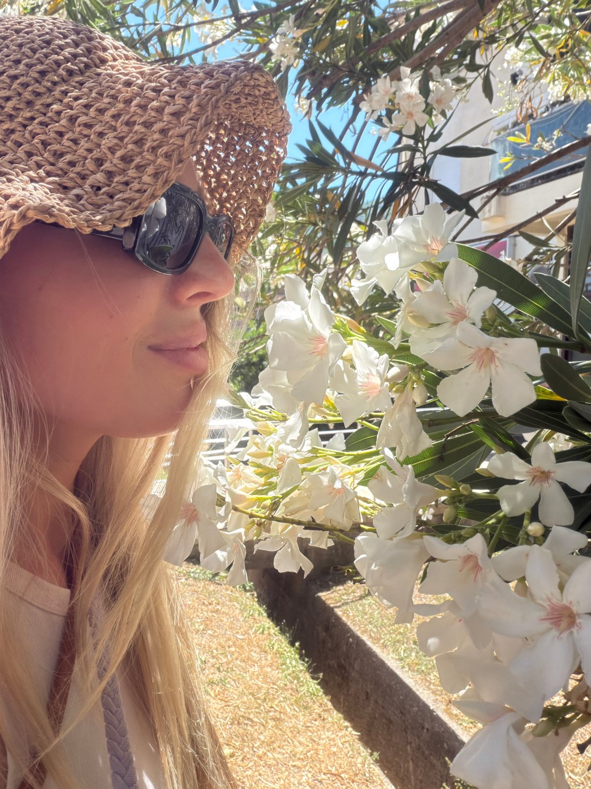 Lazy summer afternoon in Budva — smoothies, figs, and a dog in tow