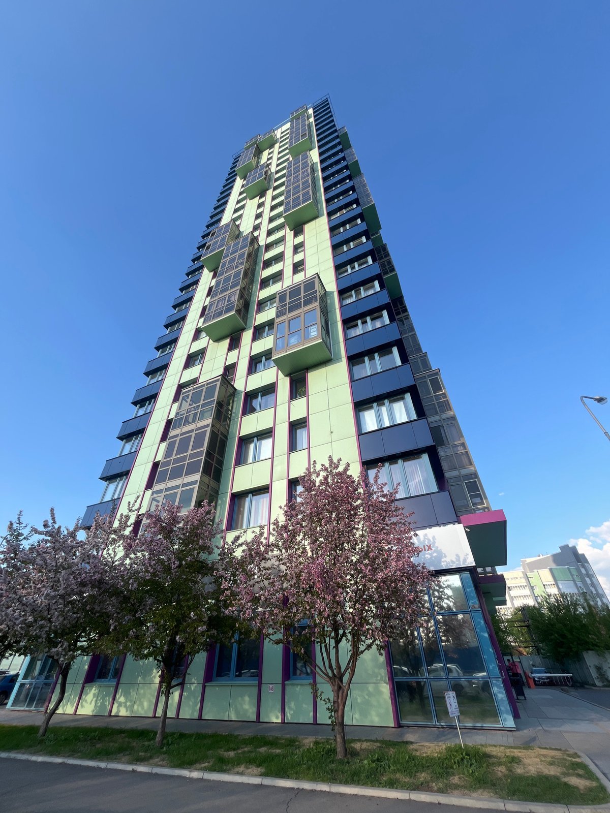 Modern green-purple building observed with blooming tree in Krasnoyarsk