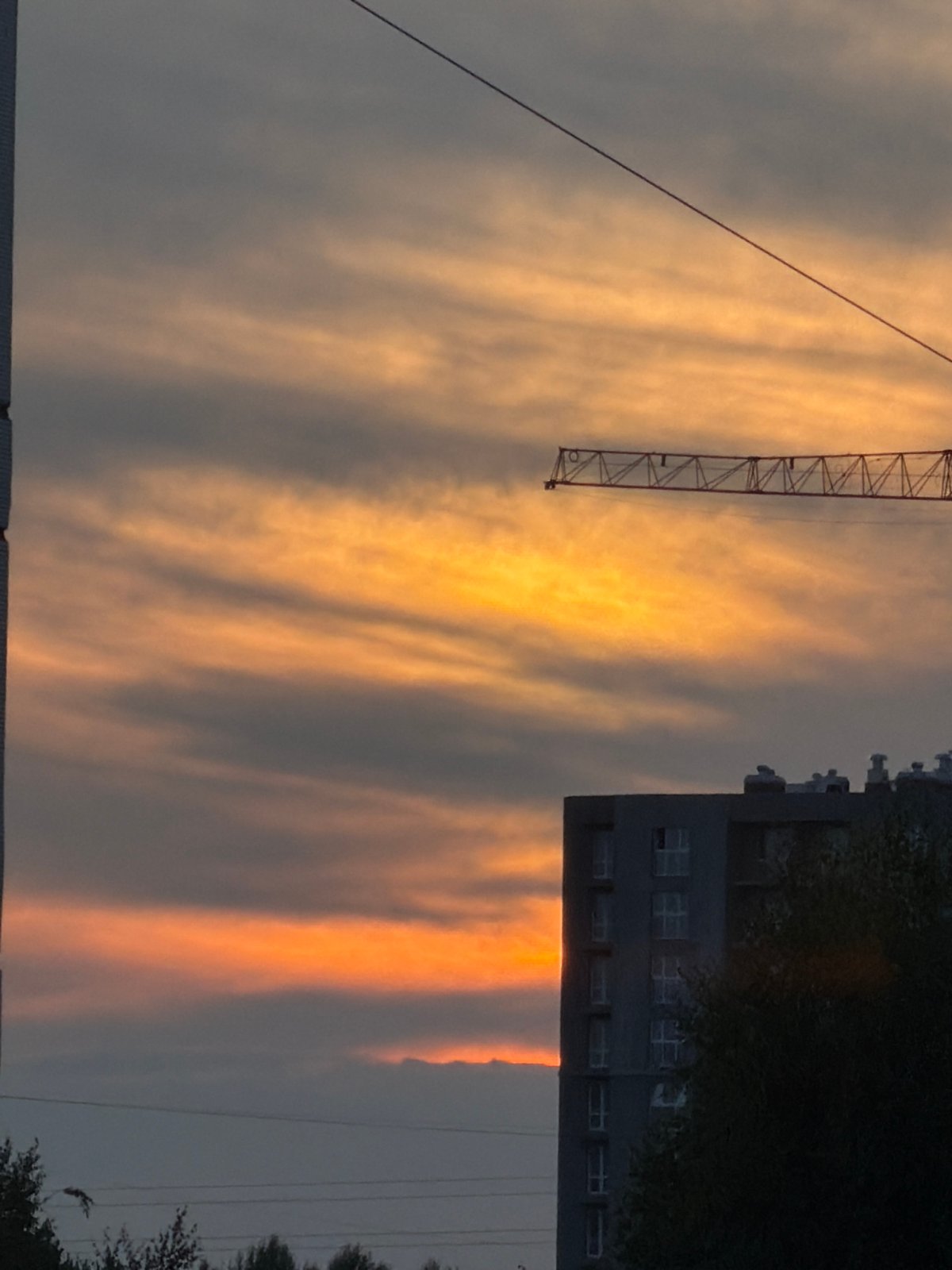 Sunset in Chaikovsky: cranes, tea, and flowers at dusk