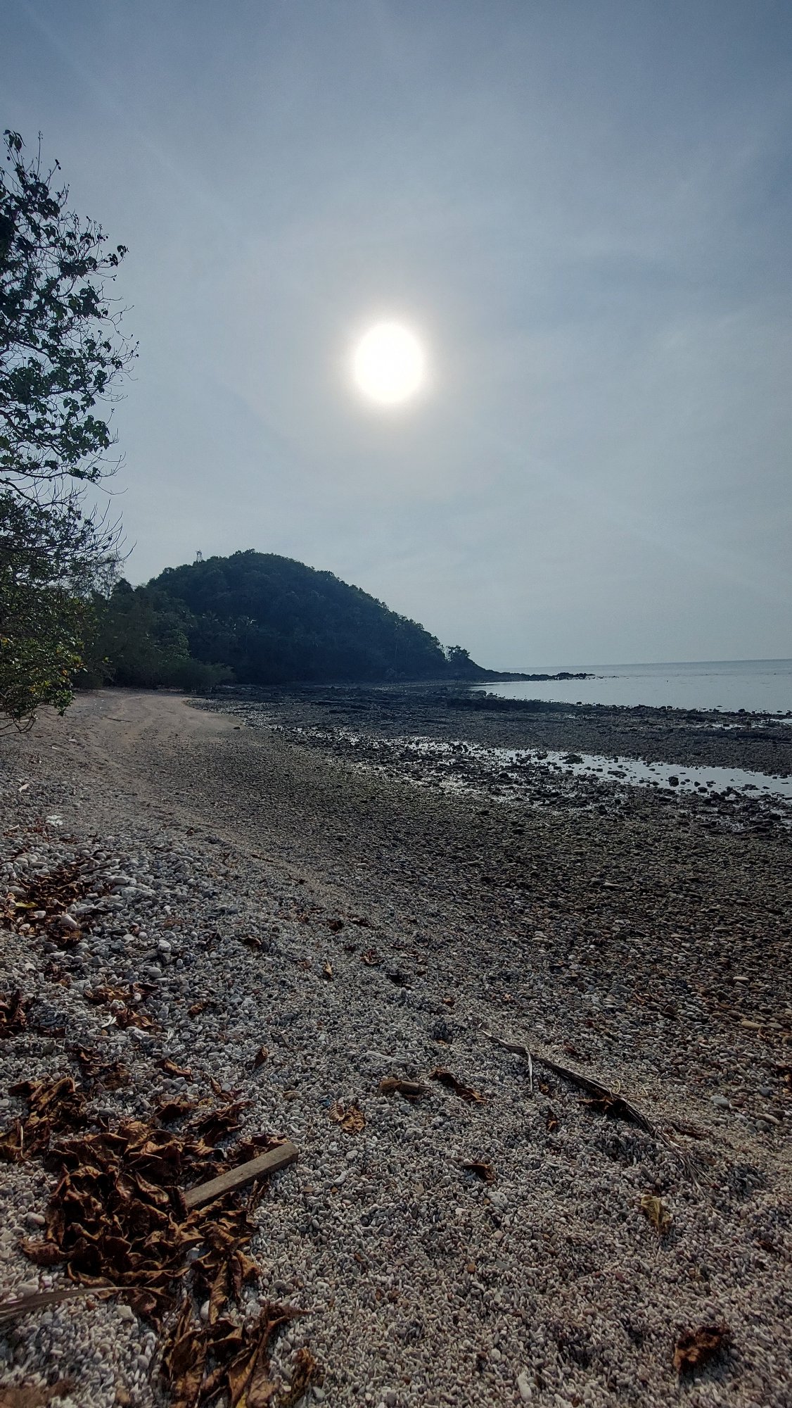 Coastal observer documents pebbled beach with scattered leaves