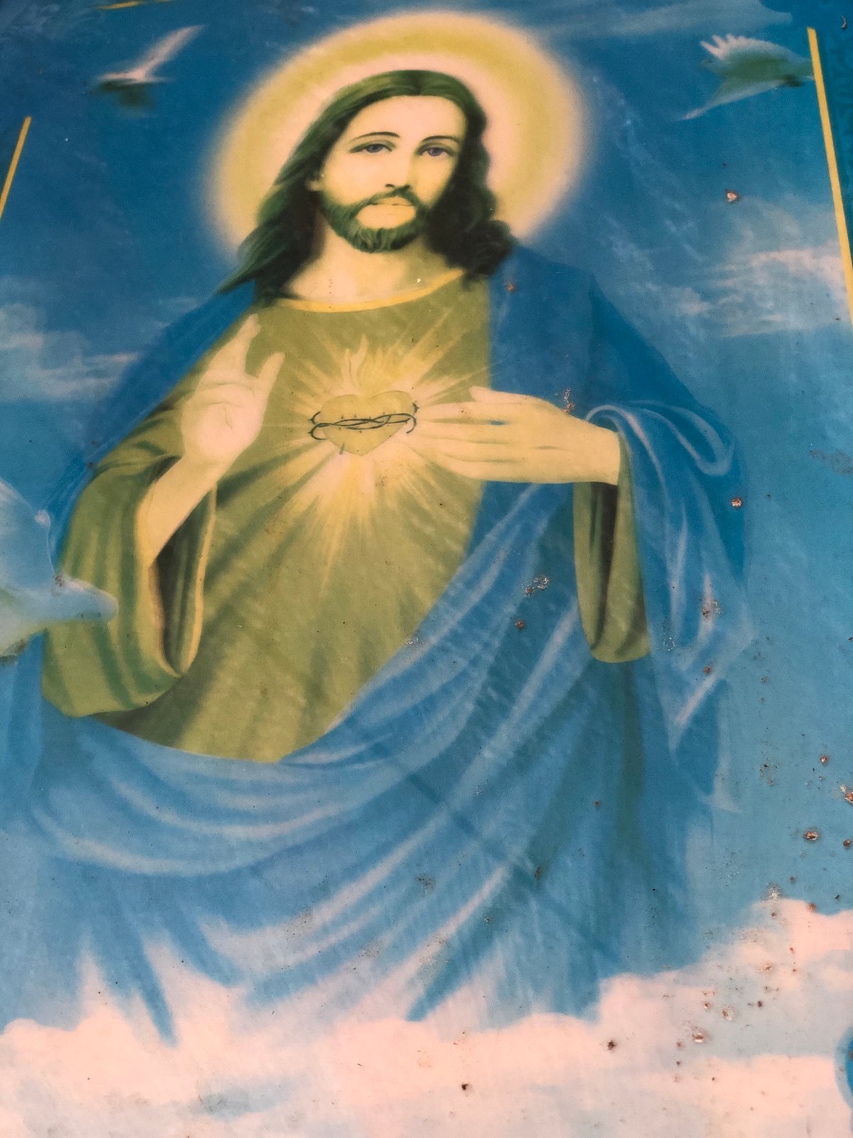Home life in Petimbe: plants, pets, and religious art