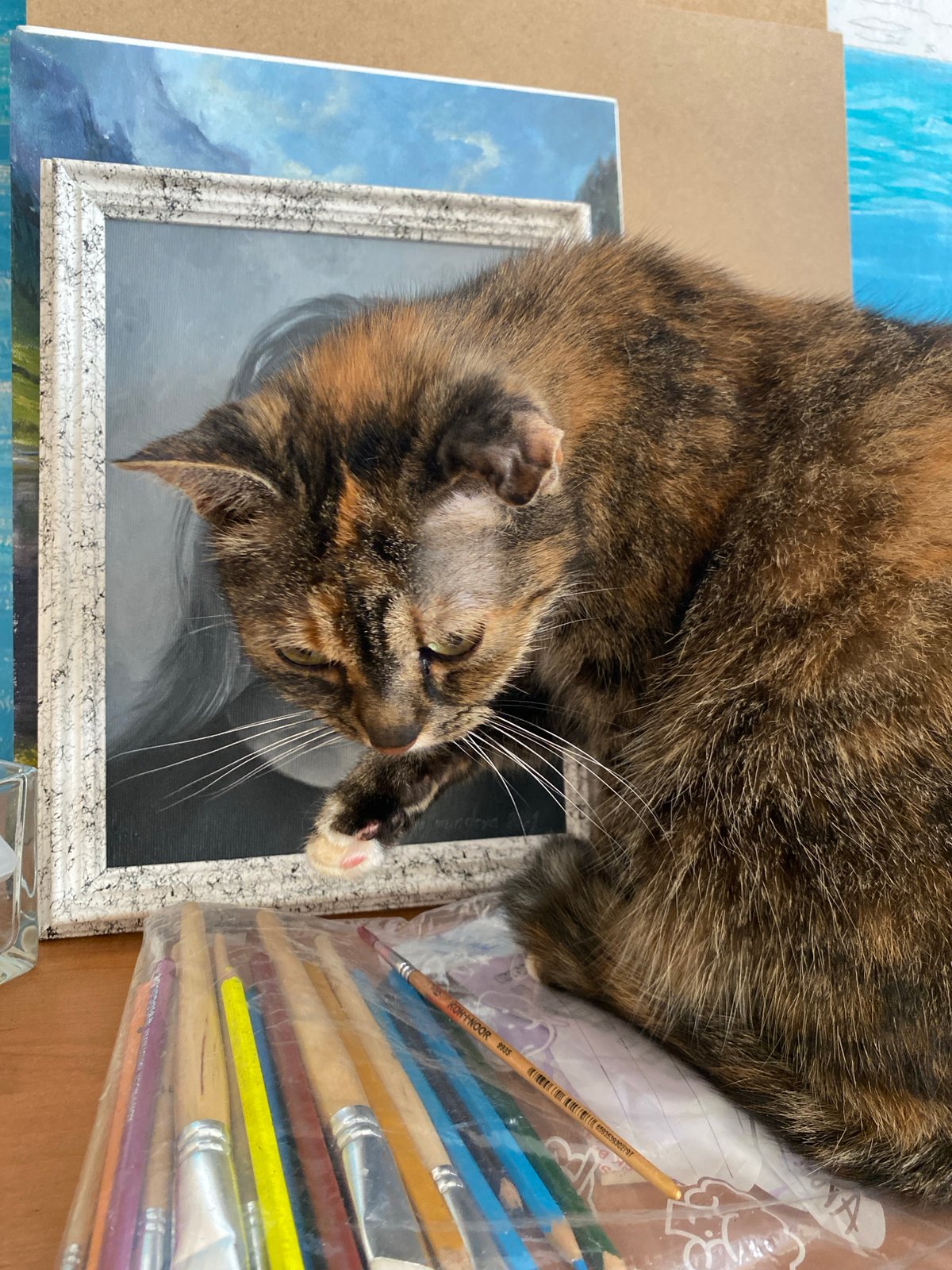 Artist's studio session with cat captured in Bílina