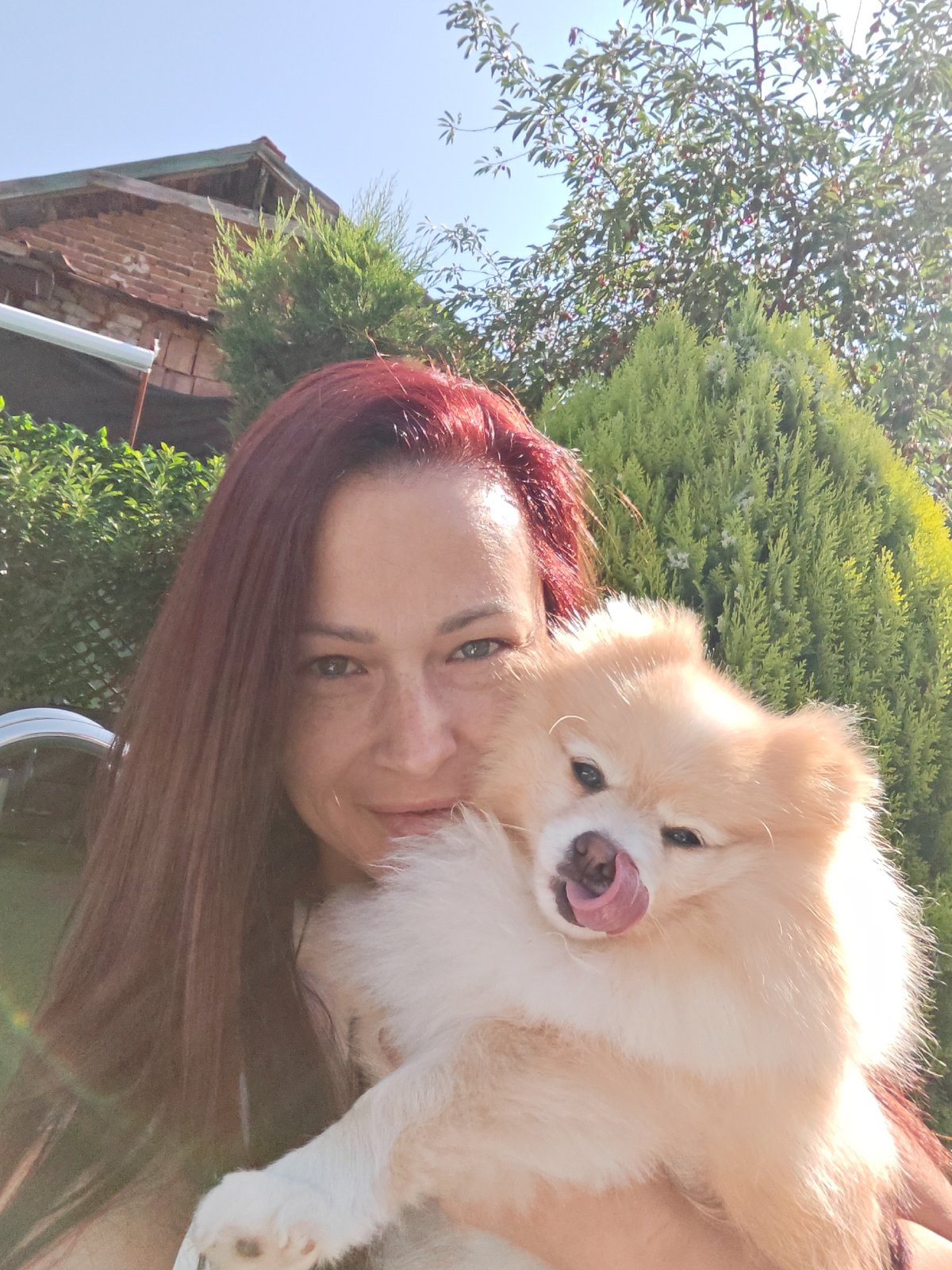 Cats and a Pomeranian spotted in a Bankya home