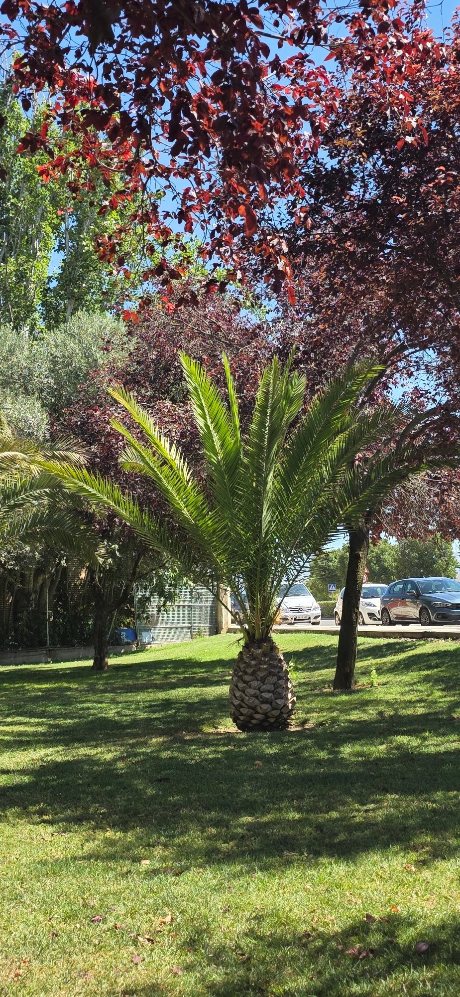 Morning stroll through Huesca's streets, parks, and public art
