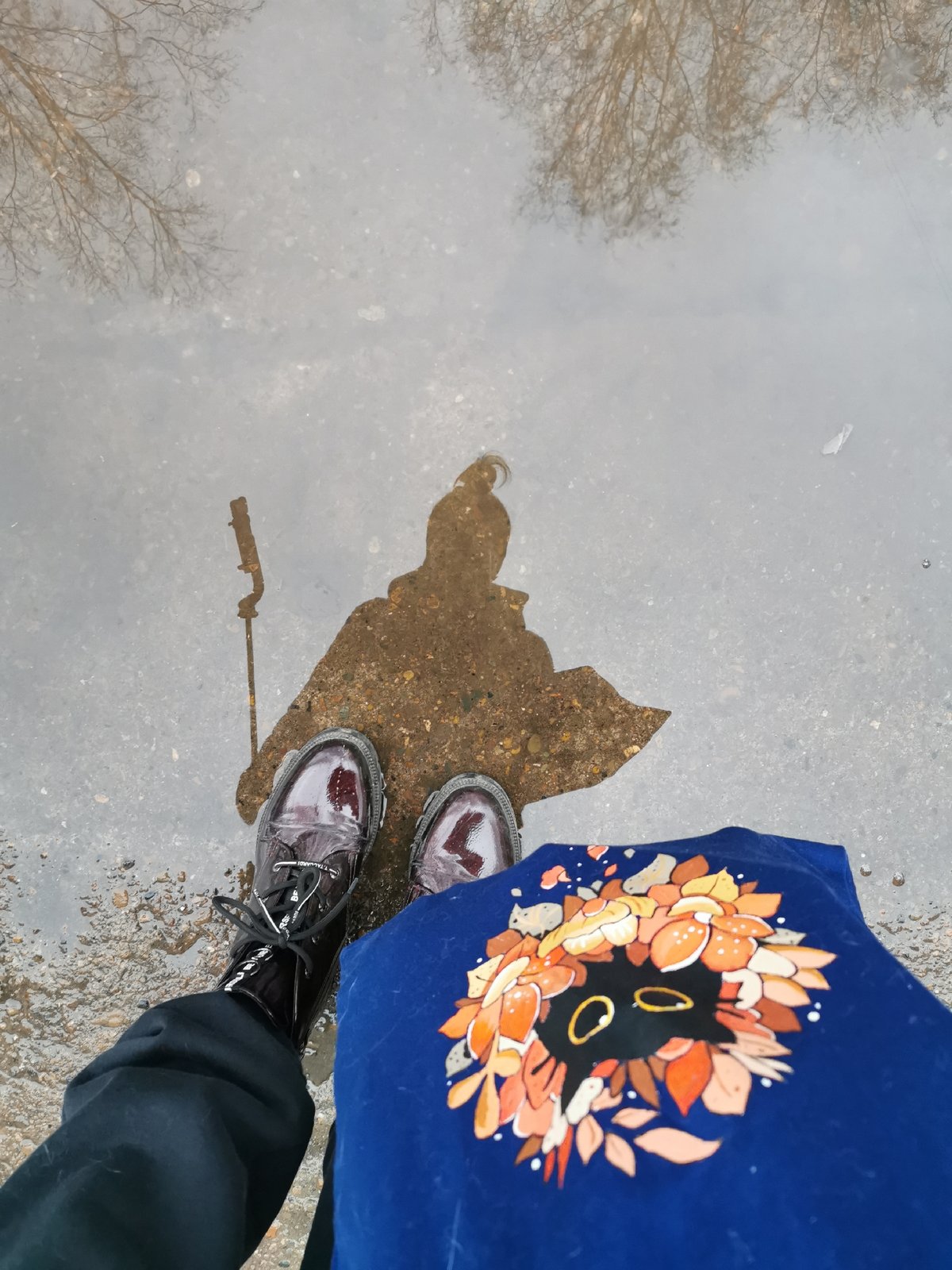 Puddle reflections, perfume bottle, and playful cat captured Sunday afternoon