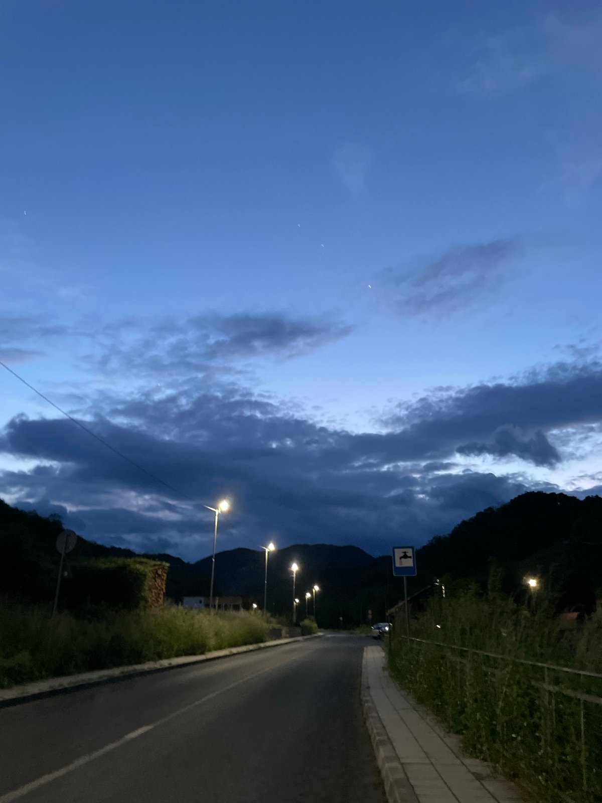 Evening street scenes and toad sightings documented in Zlatograd