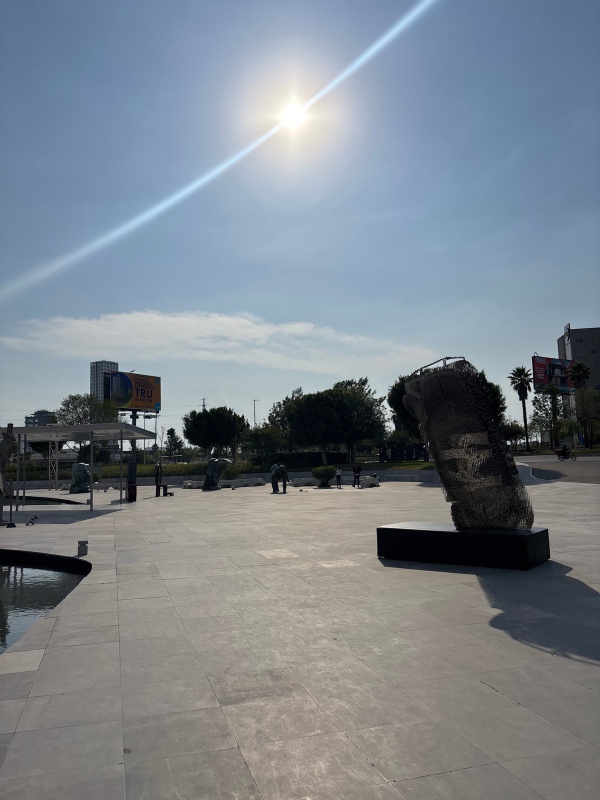 Wire head sculpture spotted in Mexican town