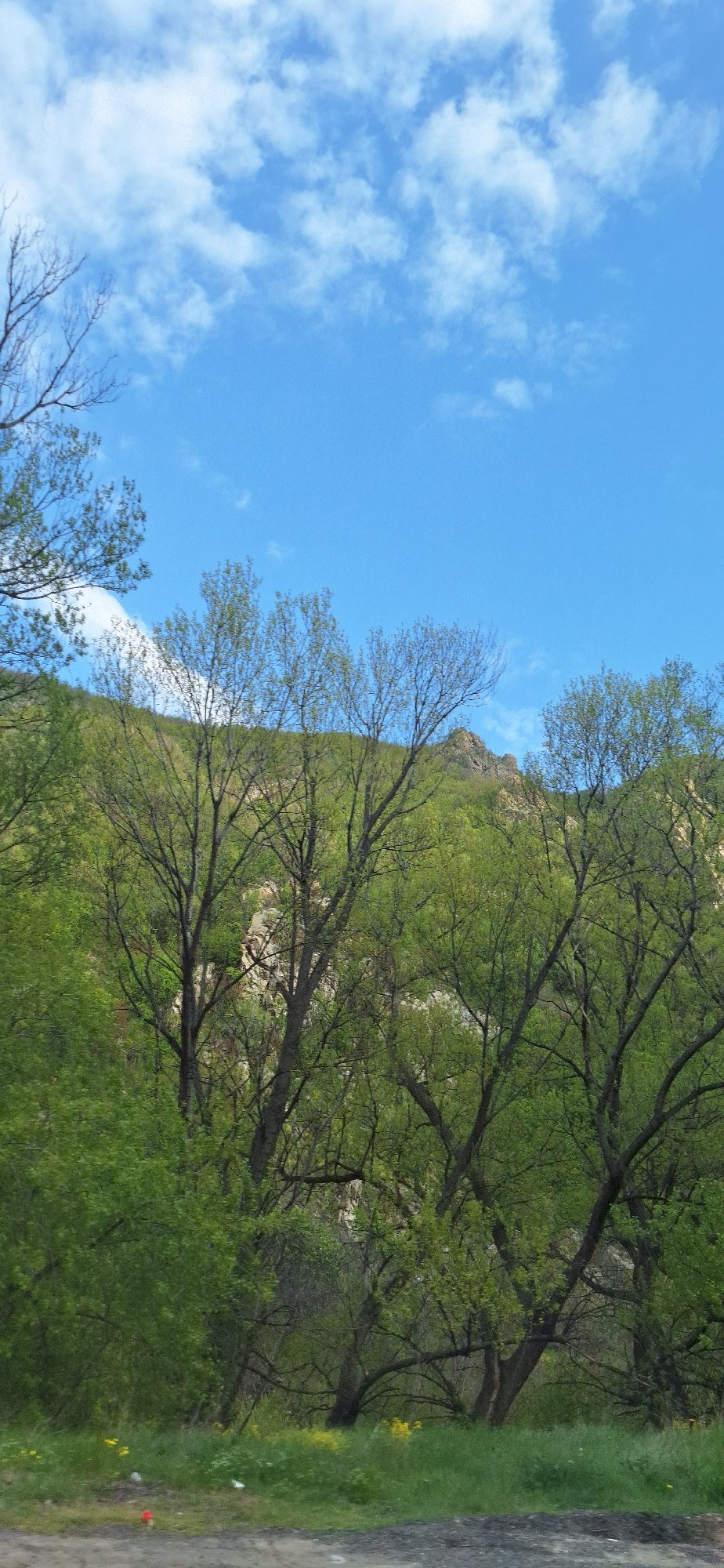 Hillside landscape documented in Mechkul, Bulgaria
