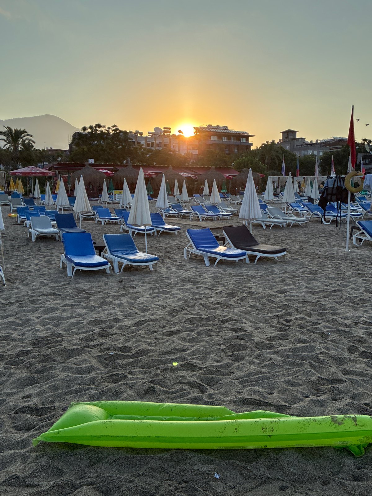 Alanya beach at sunrise, pigeons, a cat, and calm sea.