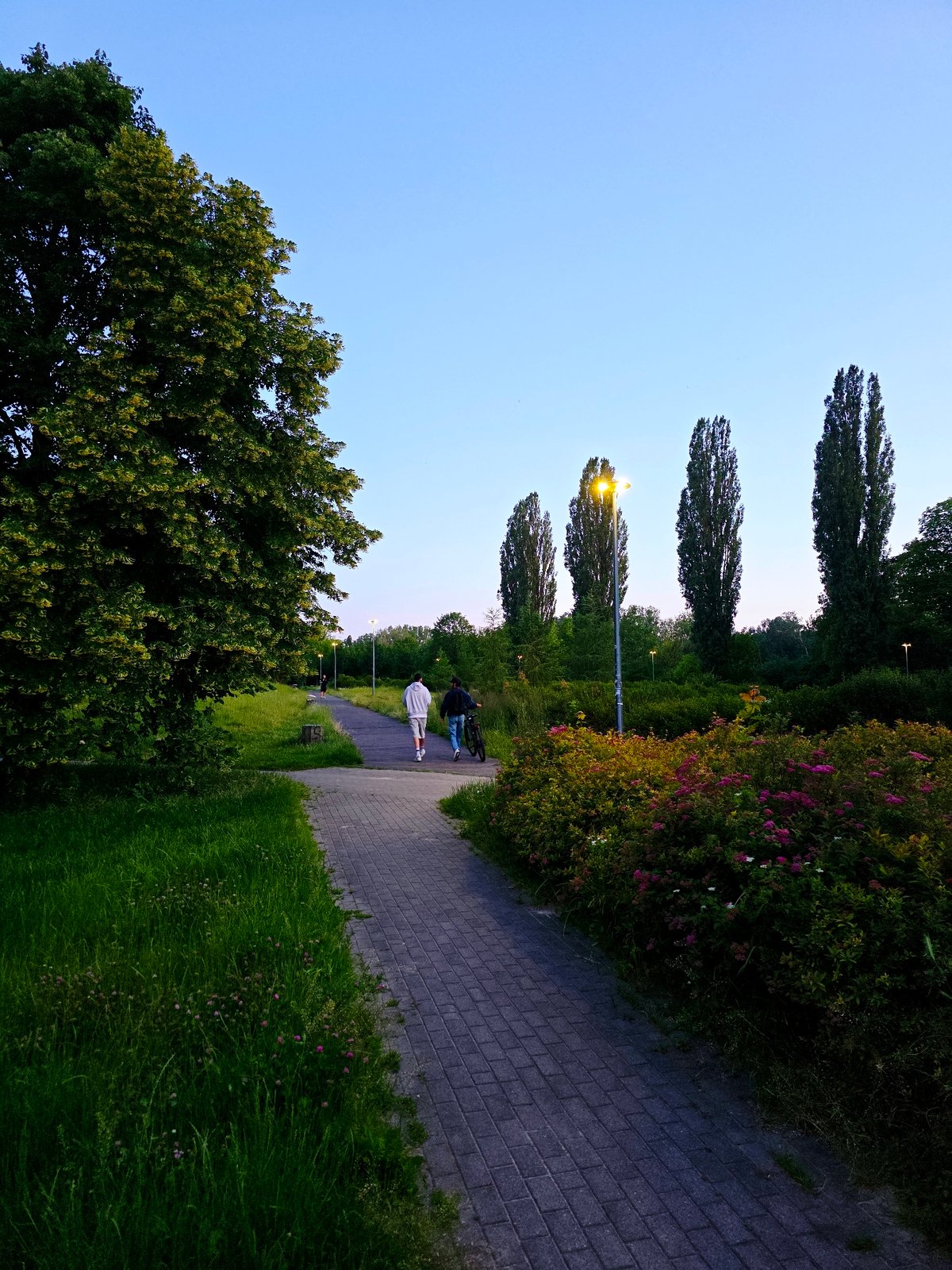 Warsaw at dusk, parks to skyline, midsummer evening