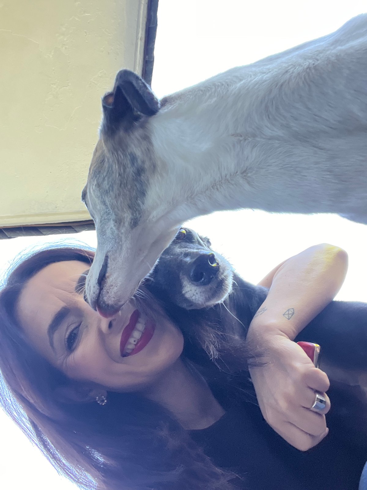 Woman takes morning selfies with pets in Konz, Germany