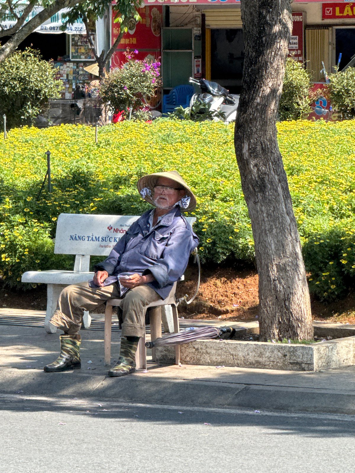 Ordinary life moments documented across Da Lat, Vietnam