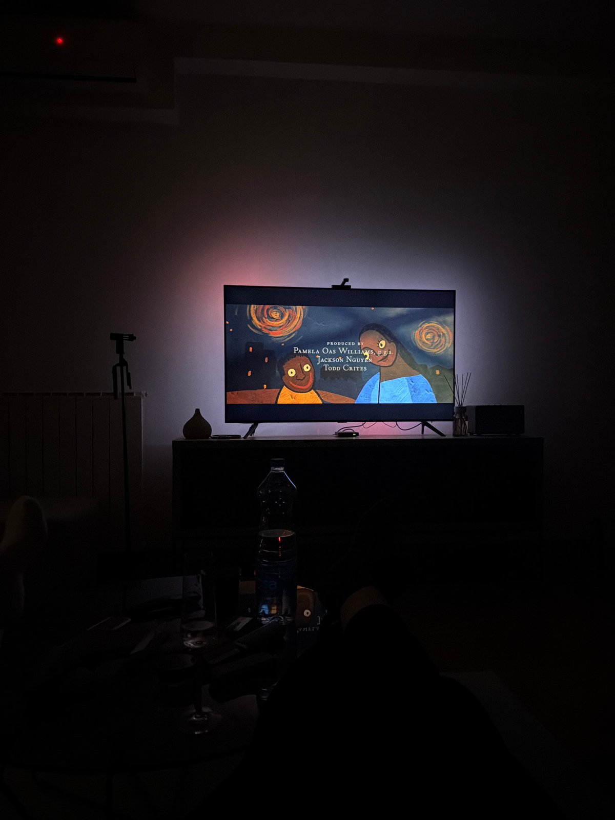 Late Night TV Viewing Session in Belgrade Residence