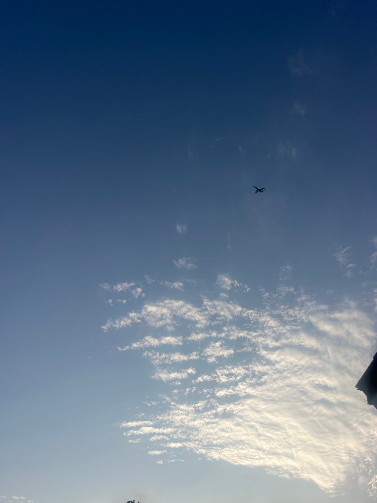 Jacksonville front yard landscaping with a plane passing overhead