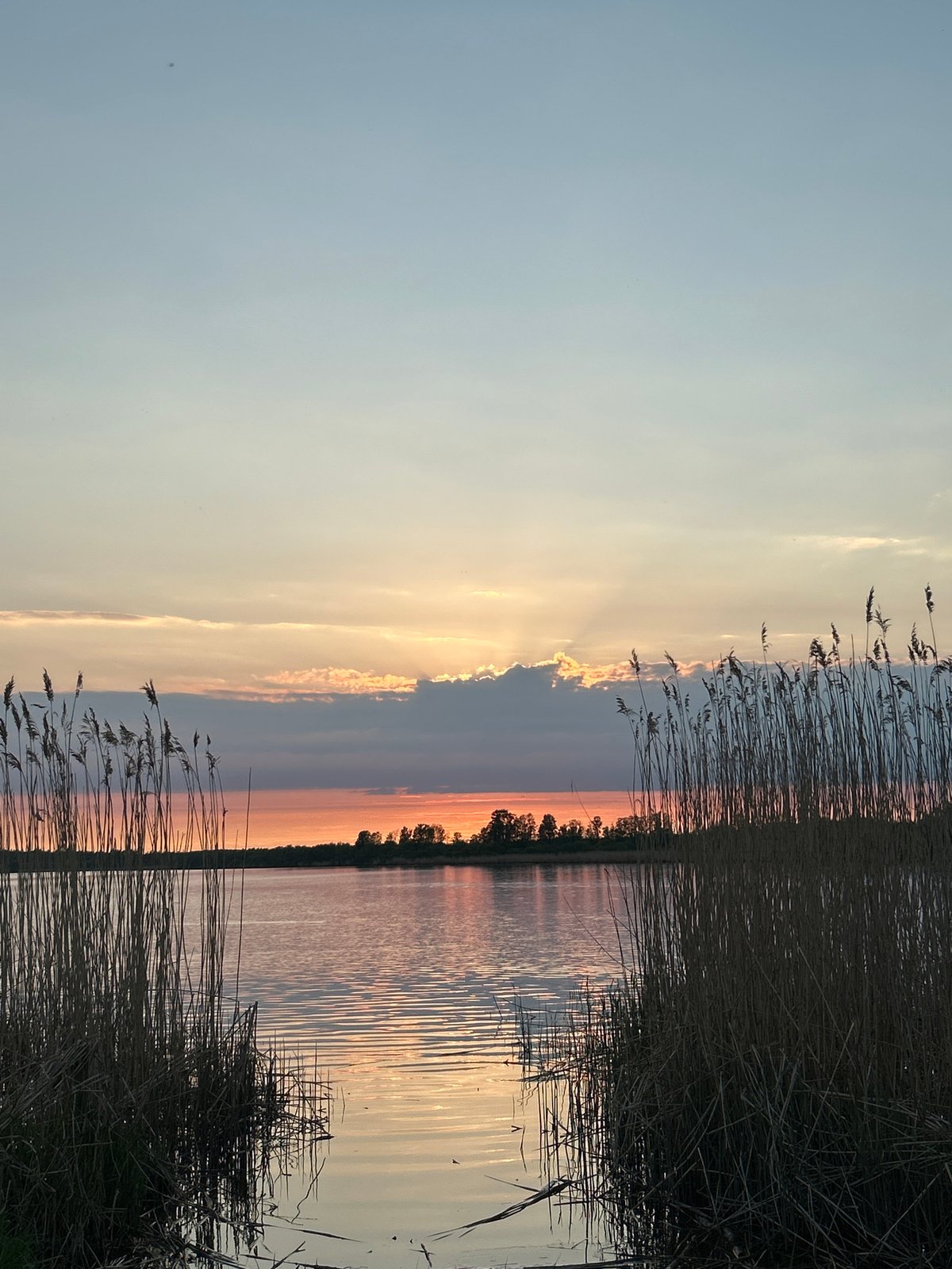 Evening lakeside walk documented in Saint Petersburg park area