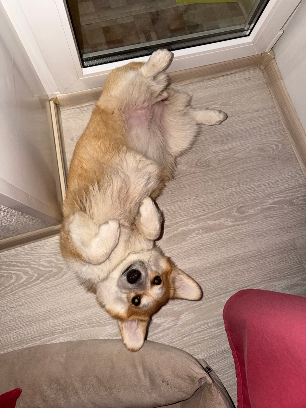Daily life moments documented across Chaikovsky, Russia evening hours
