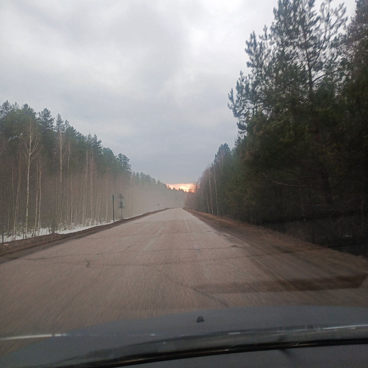 Forest road documented in Dubovaya, Russia under gray skies
