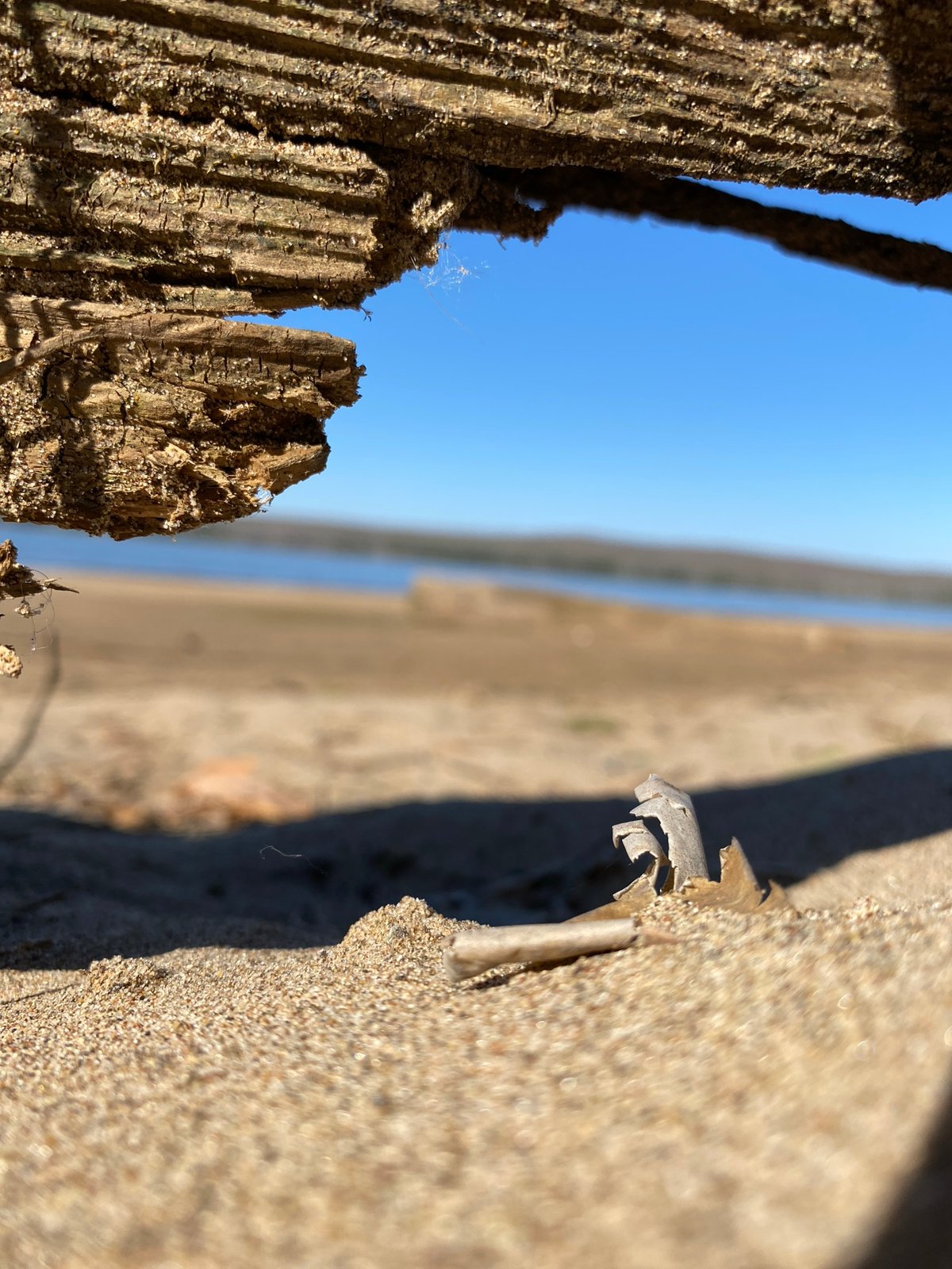 Beach recreation activities documented in Chaikovsky, Russia