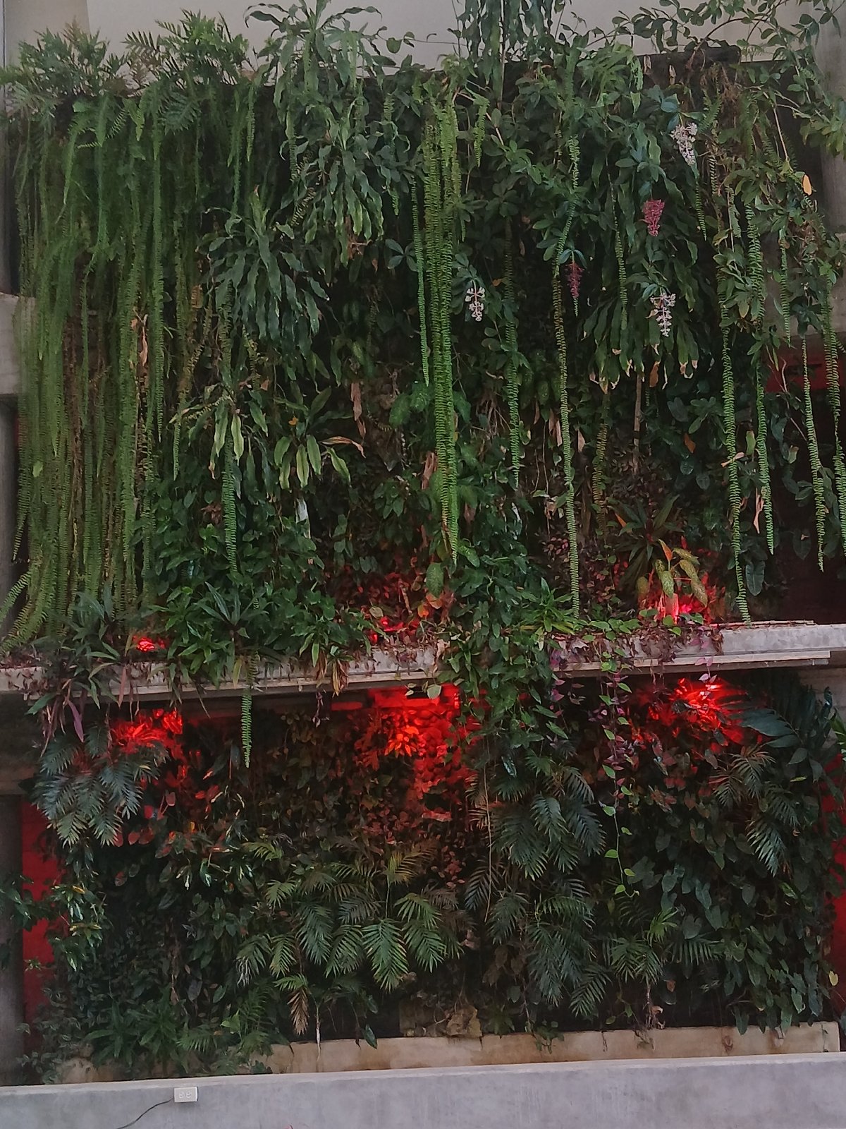 Daily life scenes documented across Venezuelan communities