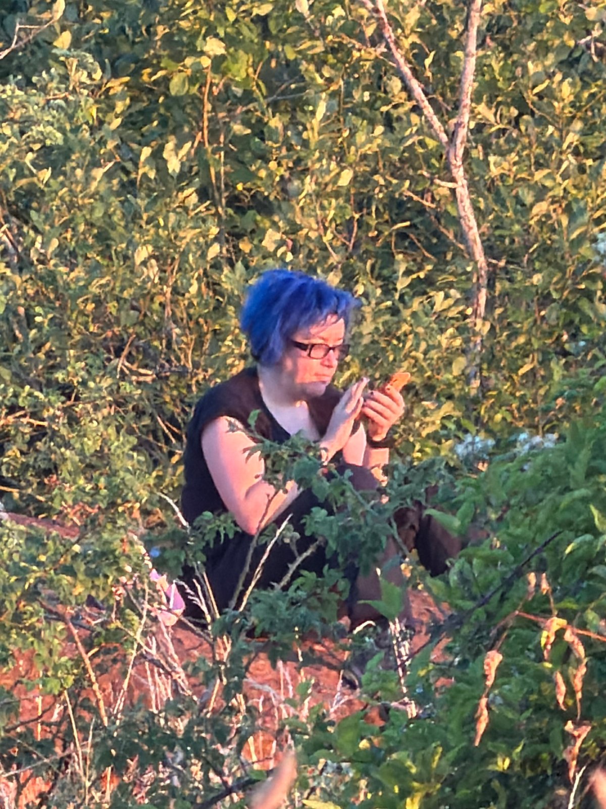 Evening walk through Schifflange's woods and fields at dusk