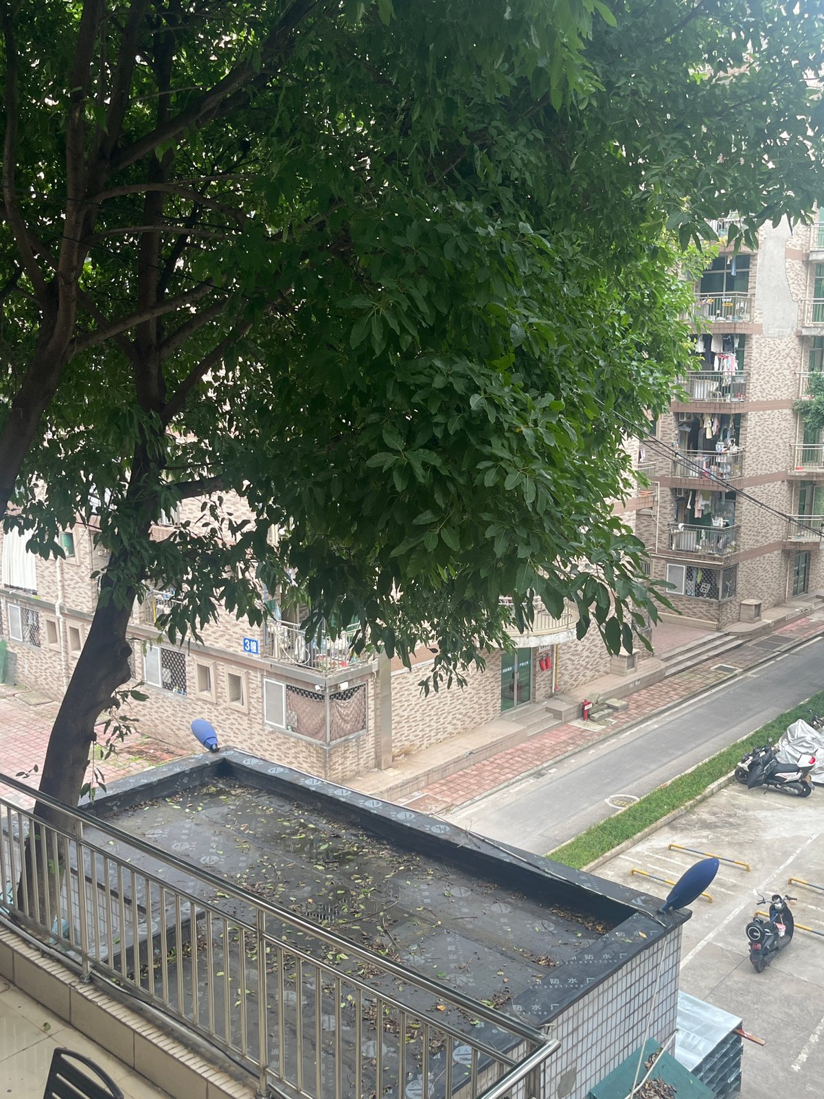Urban scenes documented from elevated position in Yuzhong District