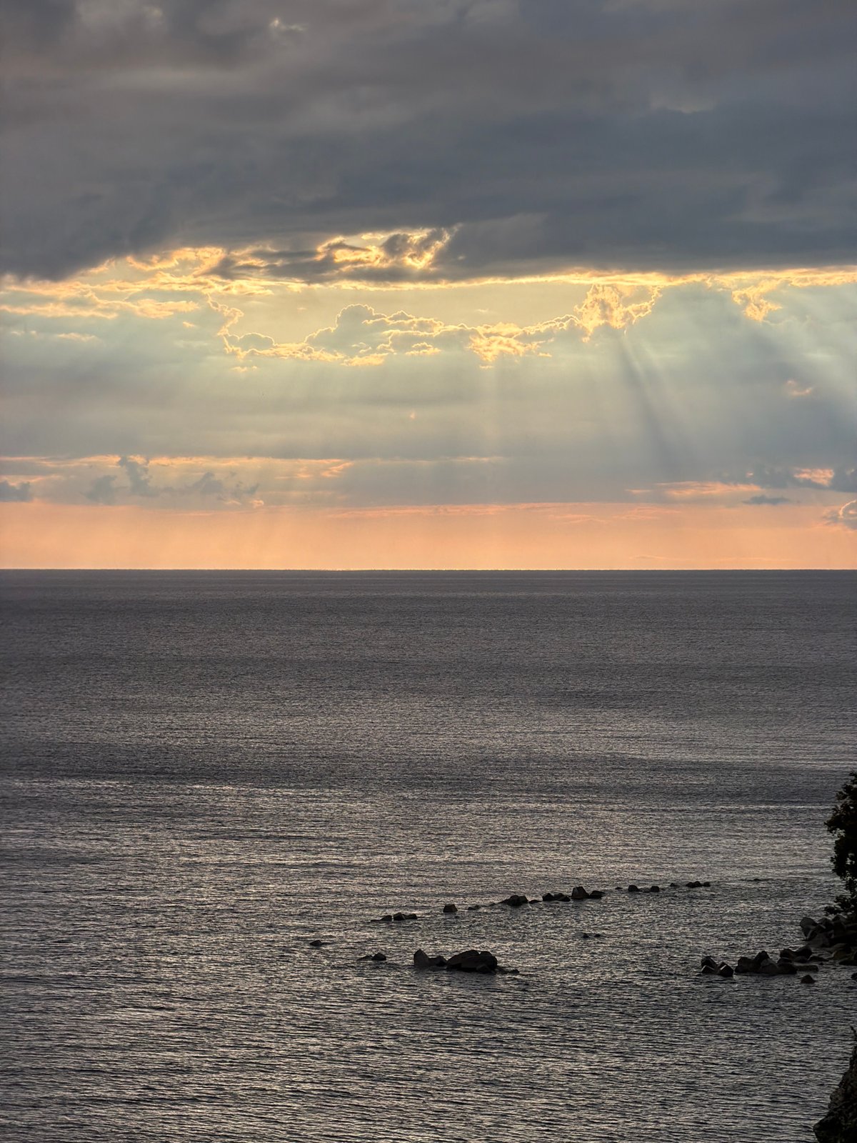 Dog watches sunset from cliffs near Mirište, Montenegro