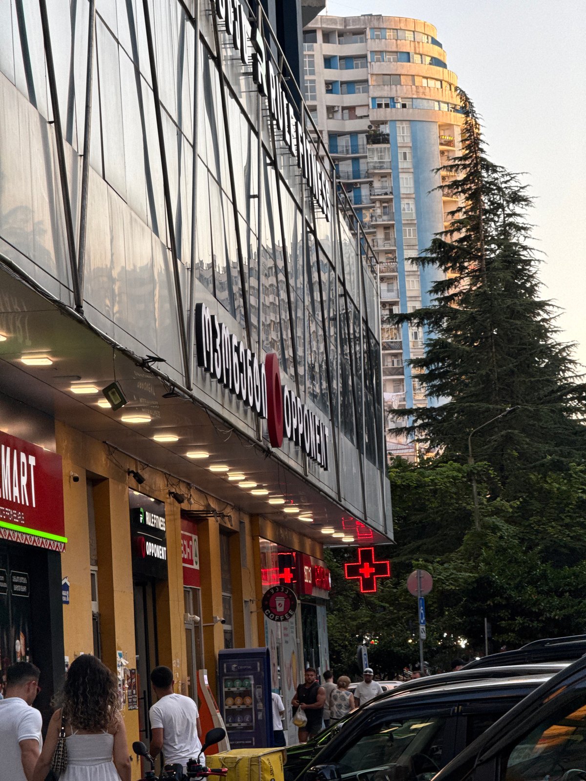 City streets, a waterfront walk, and a sleeping cat