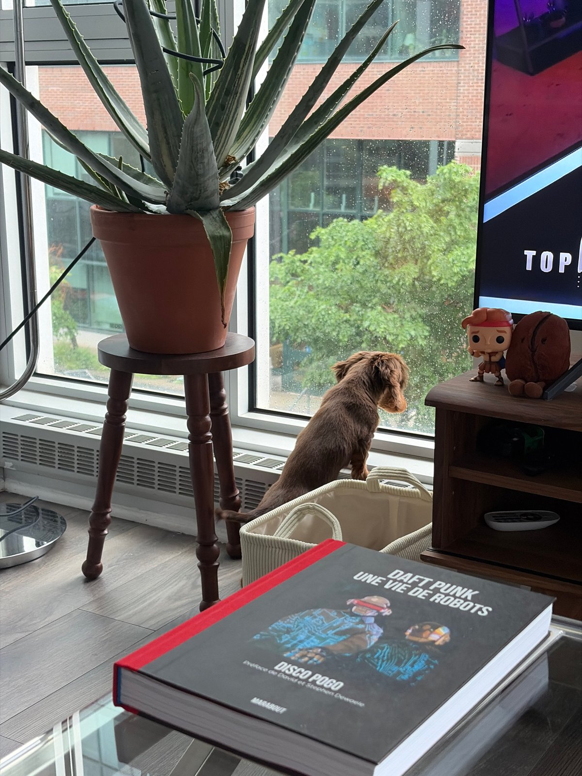 Montreal resident enjoys quiet breakfast with lattes during overcast morning