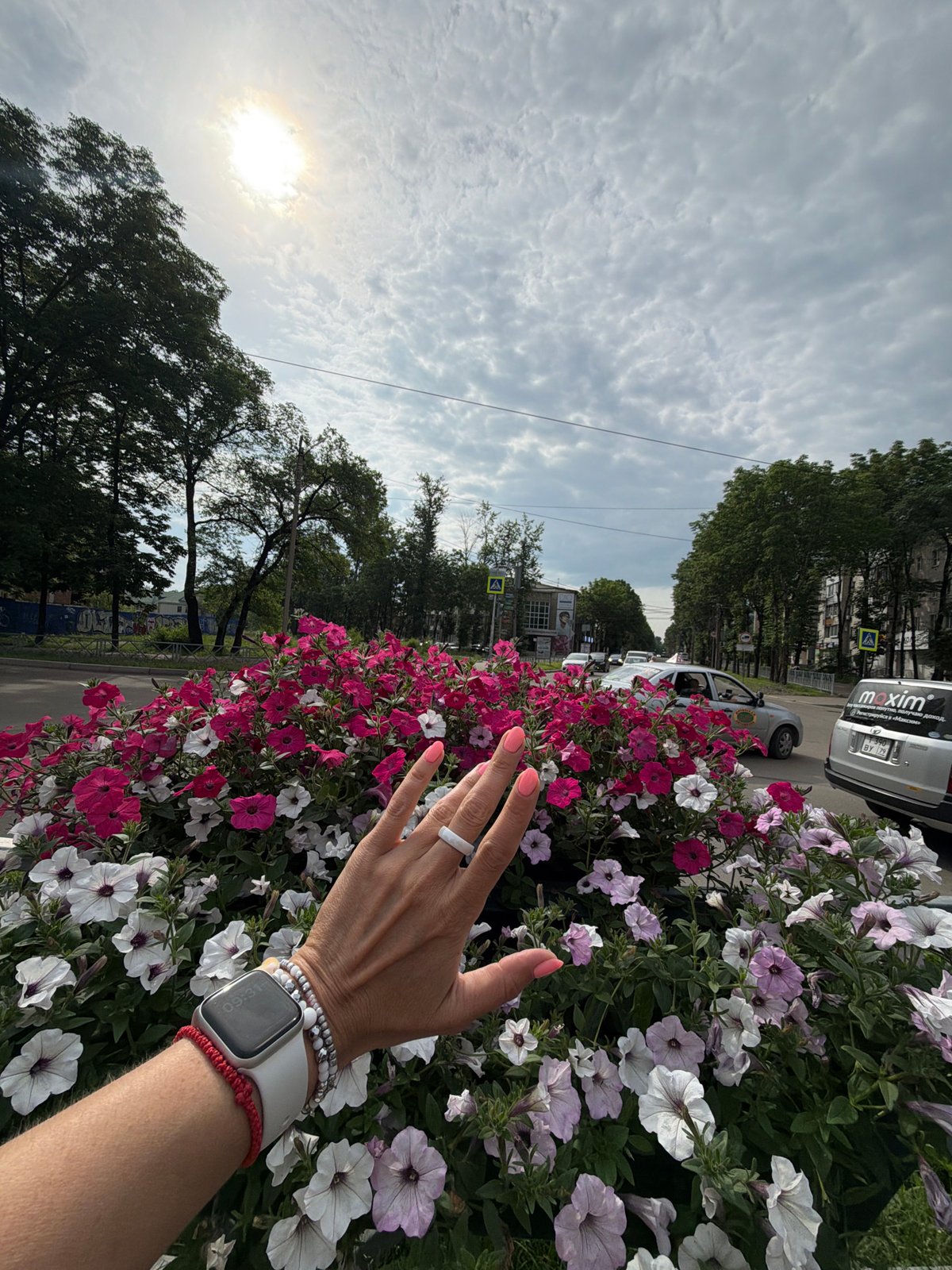 Selfies and flower shots at a Birobidzhan petunia planter