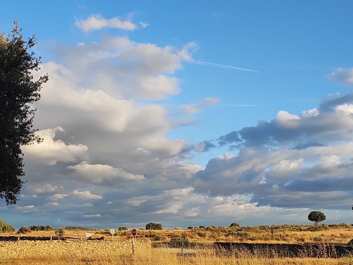 Late summer light over dry fields and stone walls in Sobradillo