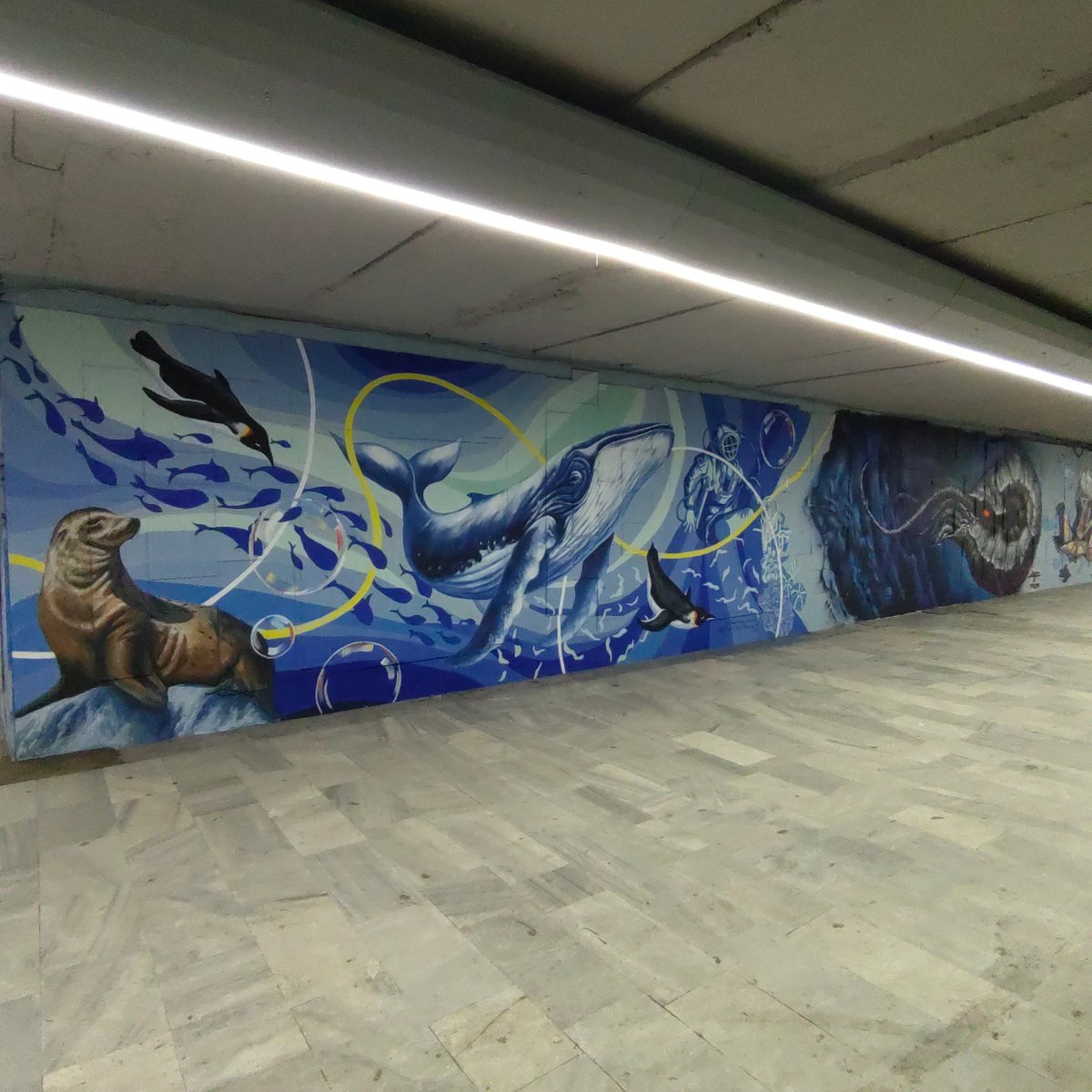 Sofia underpass murals feature ocean scenes, poker-playing frogs