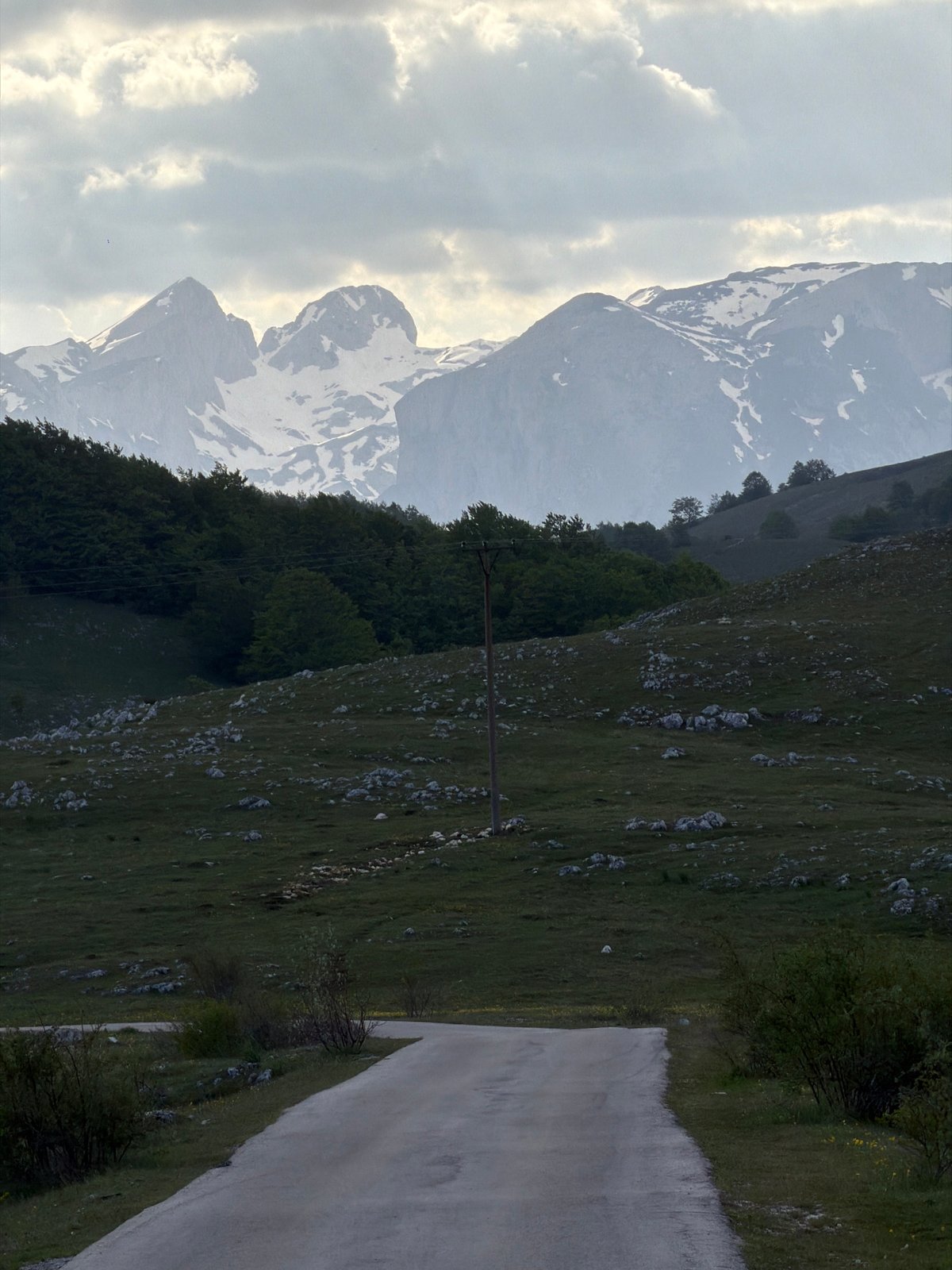 Yellow VW van and horse photographed in Montenegro countryside
